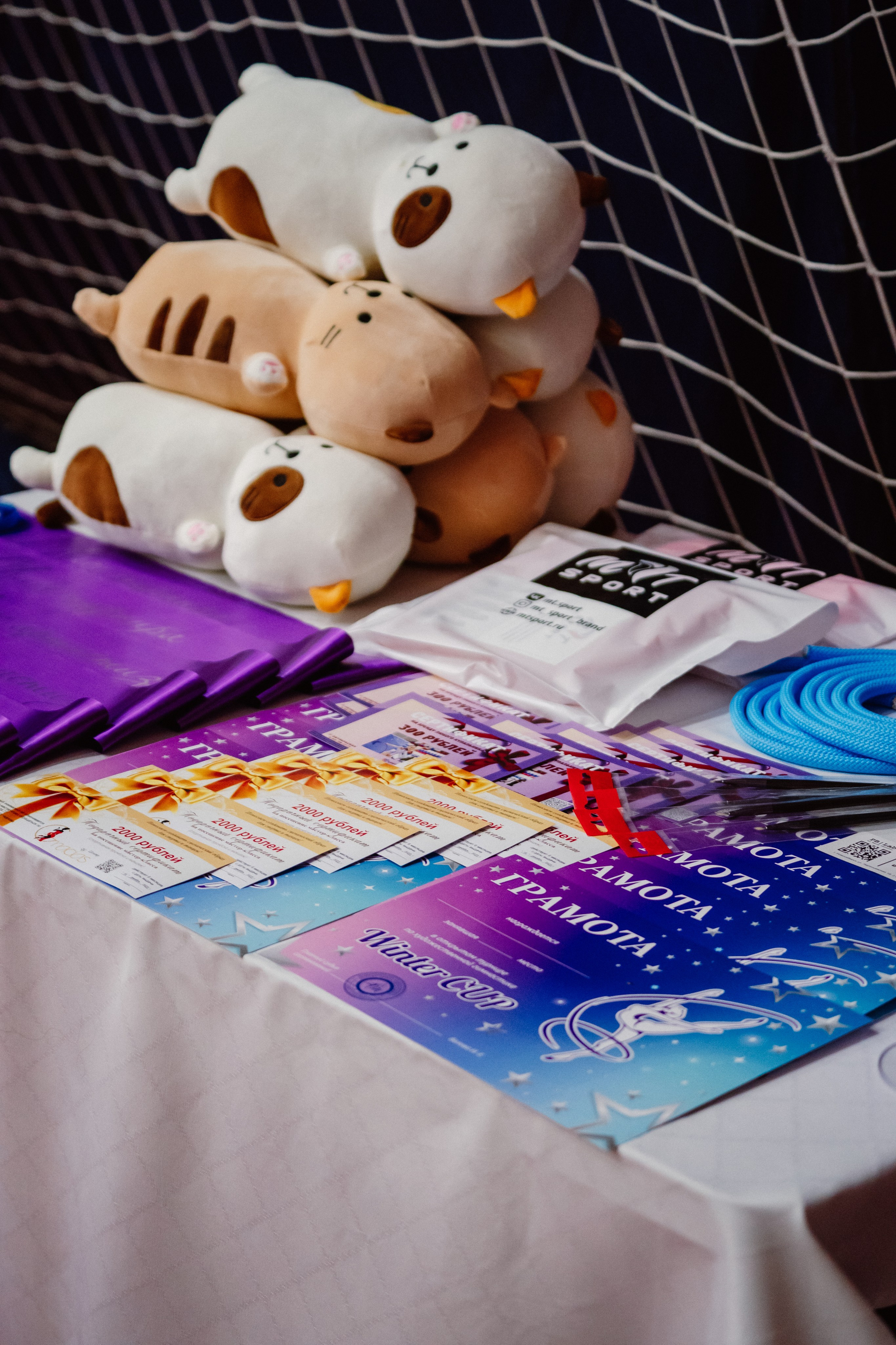 Winter Cup. Воробьева Ксения — Спортивный и танцевальный фотограф Новосибирск