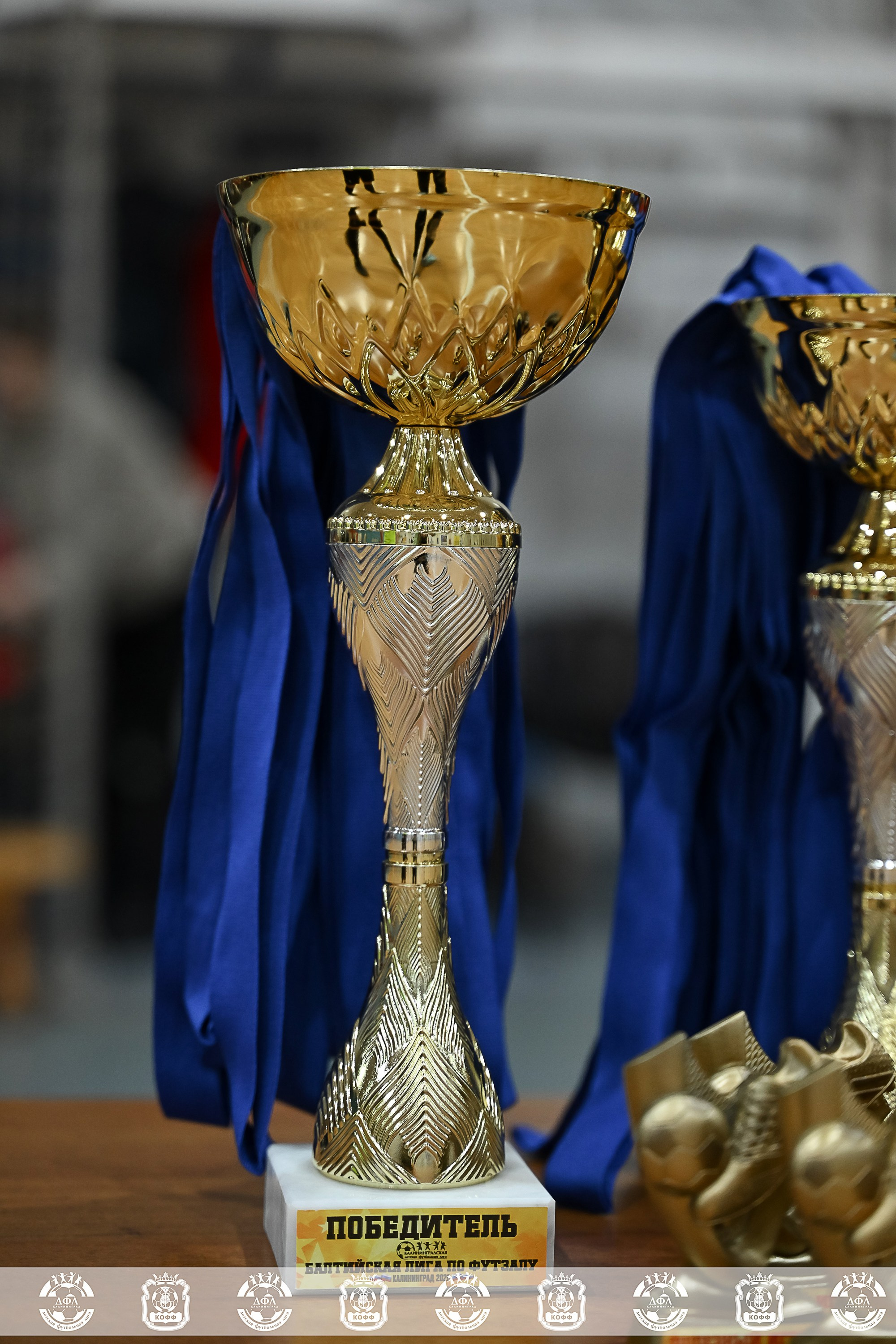 ДФЛ СанТермо. VIBECITY.RU Вайб Сити Ру Фоторепортажи Фотоотчеты Калининград