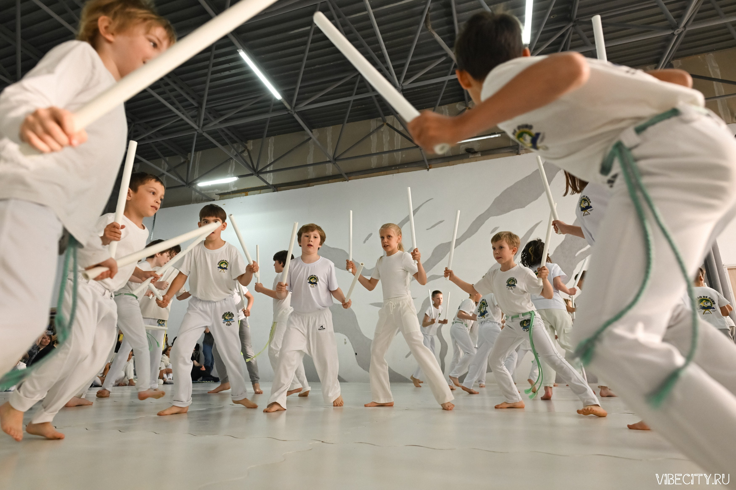 Capoeira: 4-е batizado e Troca de cordao. VIBECITY.RU Вайб Сити Ру Фоторепортажи Фотоотчеты Калининград