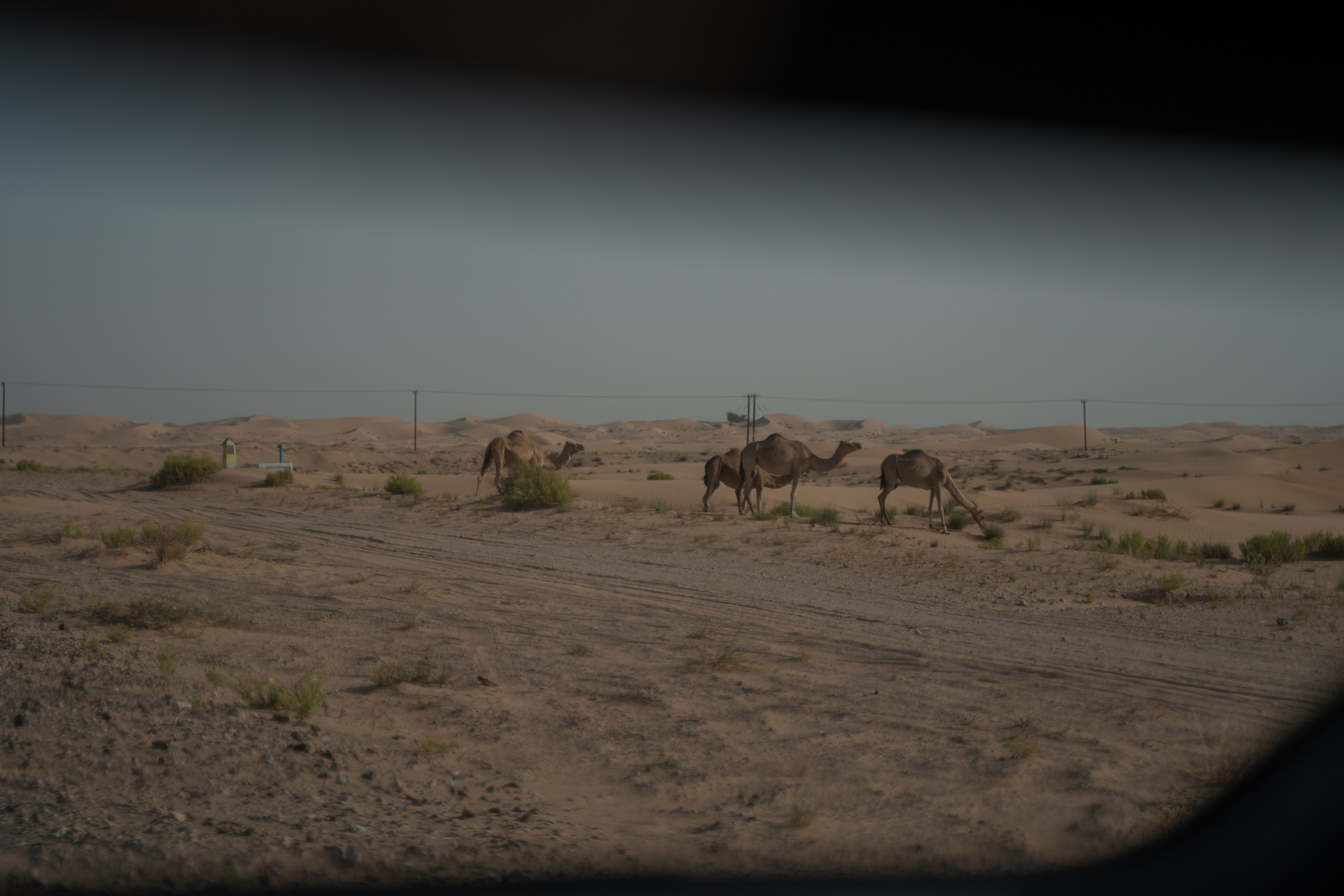 Lamba. Фотограф и видеограф в Москве и Абу Даби Мария Кулагина