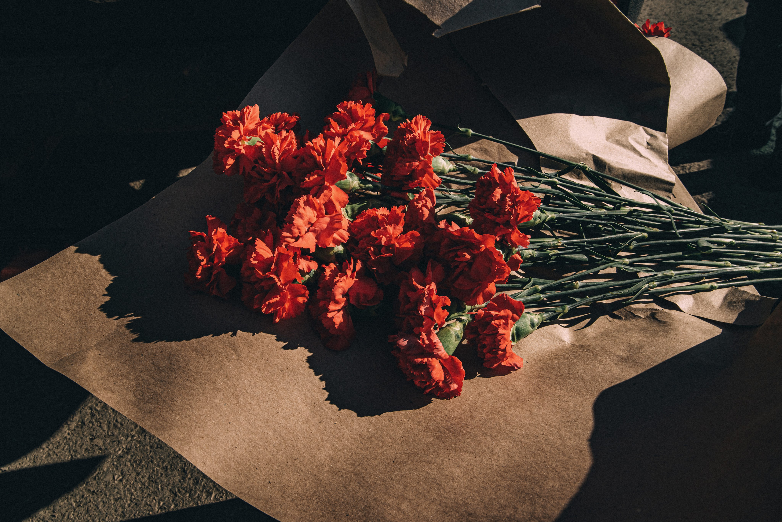 XIII Автопробег 2023 «Ветеранам глубинки — заботу и внимание» (маршрут № 3). Фотограф в Самаре Елена Фомина