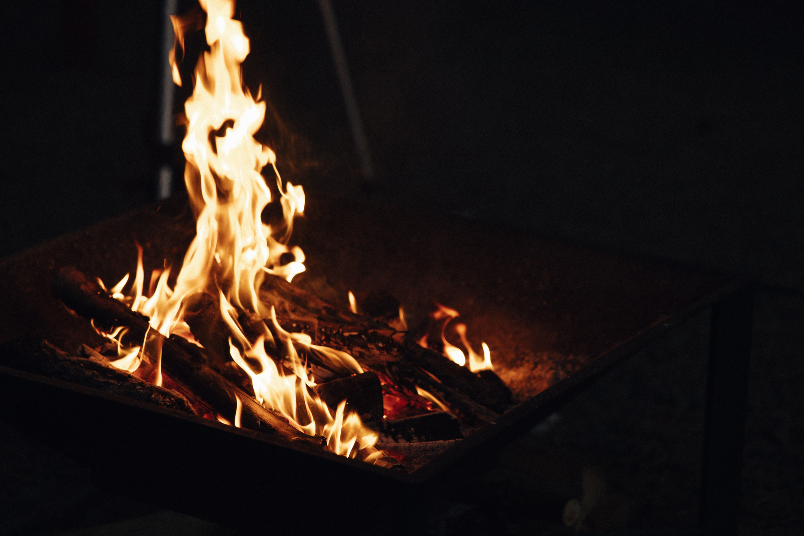 Свадьба в лесу Владислава и Светланы. Свадебный организатор Марина Корсакова, Барнаул, Бийск, Алтайский край, Горный Алтай, Новосибирск