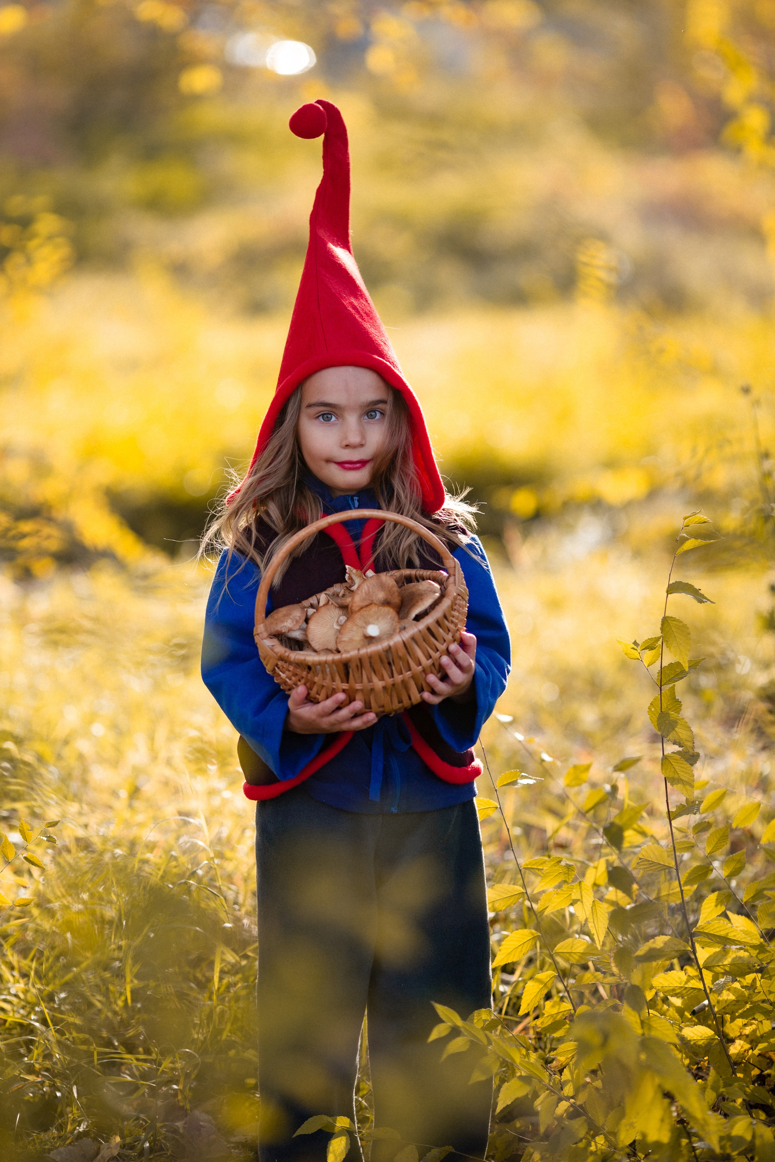 Лесные гномы