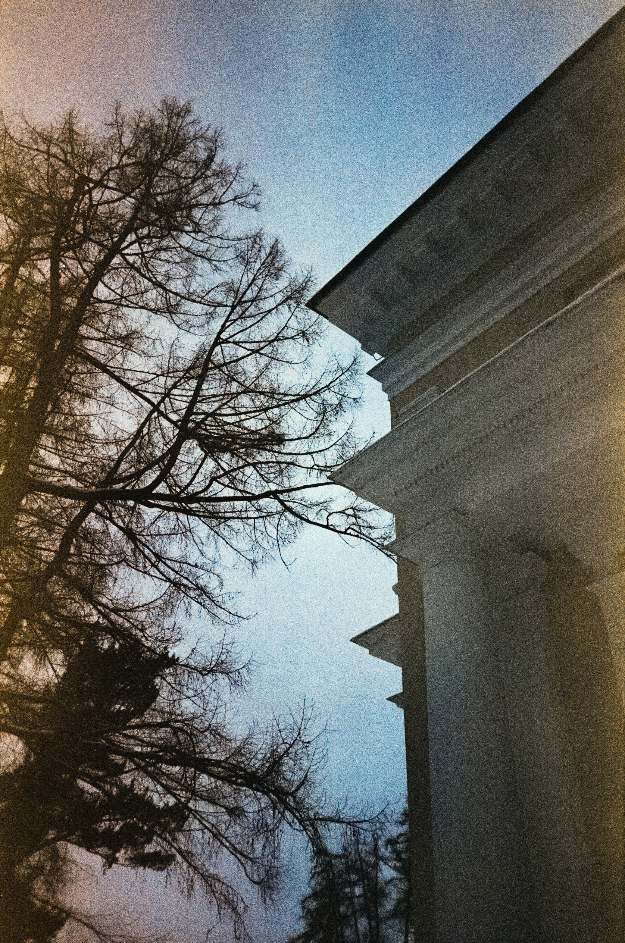 Fujicolor Superia 200 (просрочка) / Cosina CX-1 / 6 января 2025 года Усадьба Архангельское