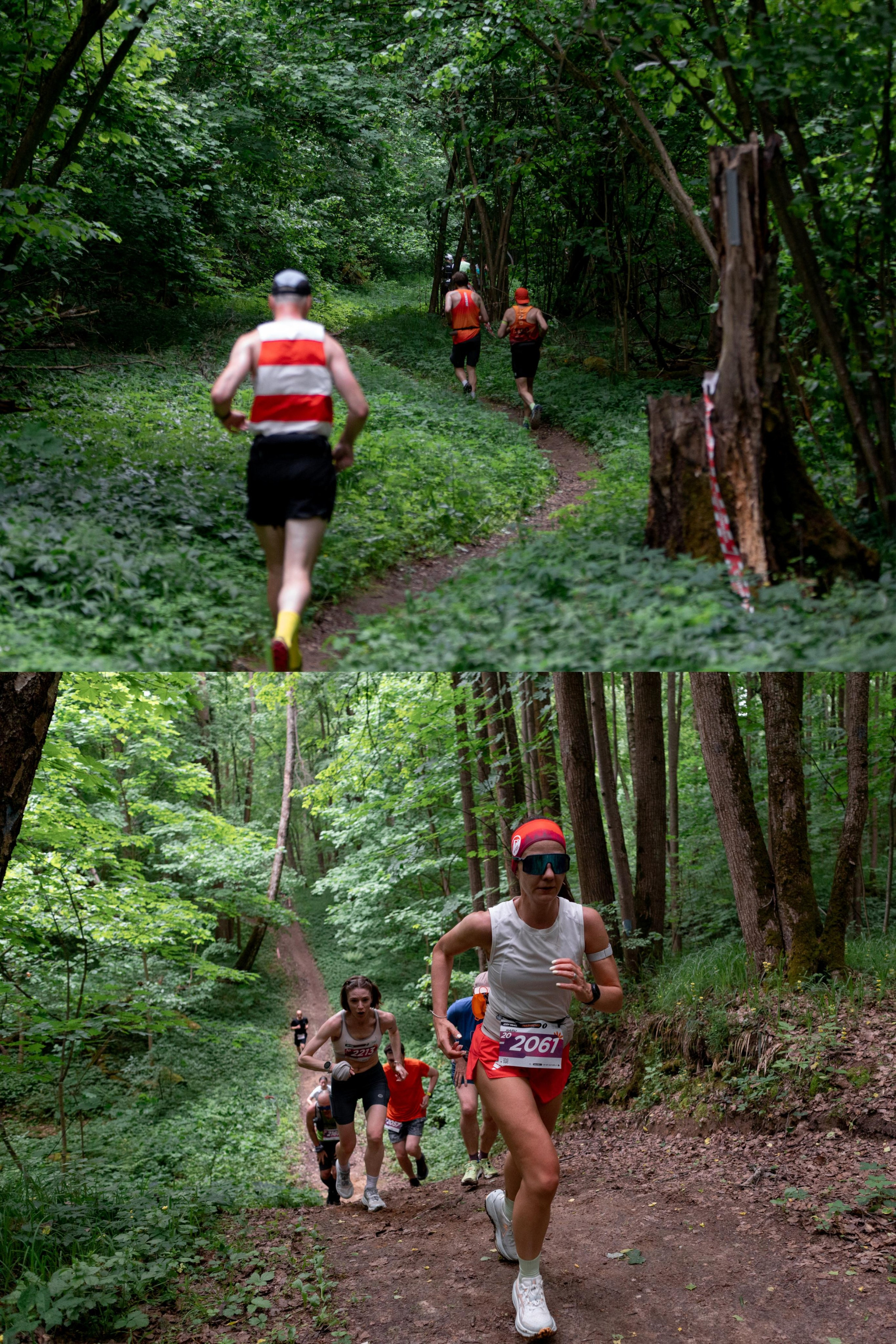 CityTrail Ромашково