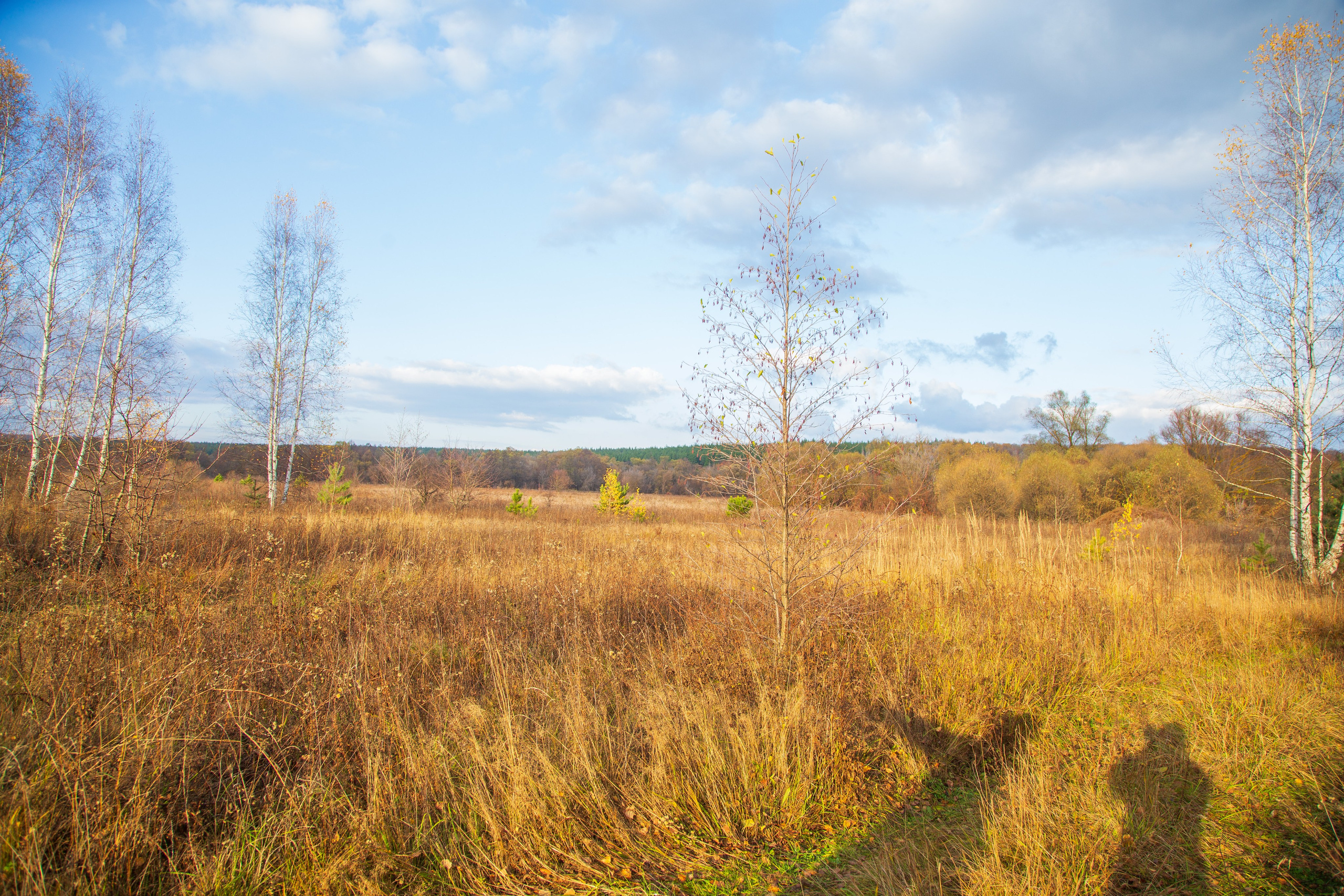 ТВОРЧЕСТВО. Творческая студия АЛНИфото