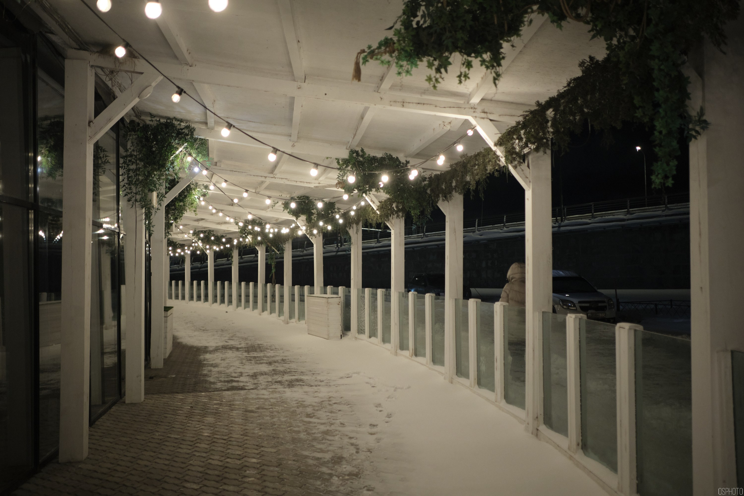 Снег и туман в Санкт-Петербурге. Фотографъ Сергѣевъ. Поймать мгновеніе