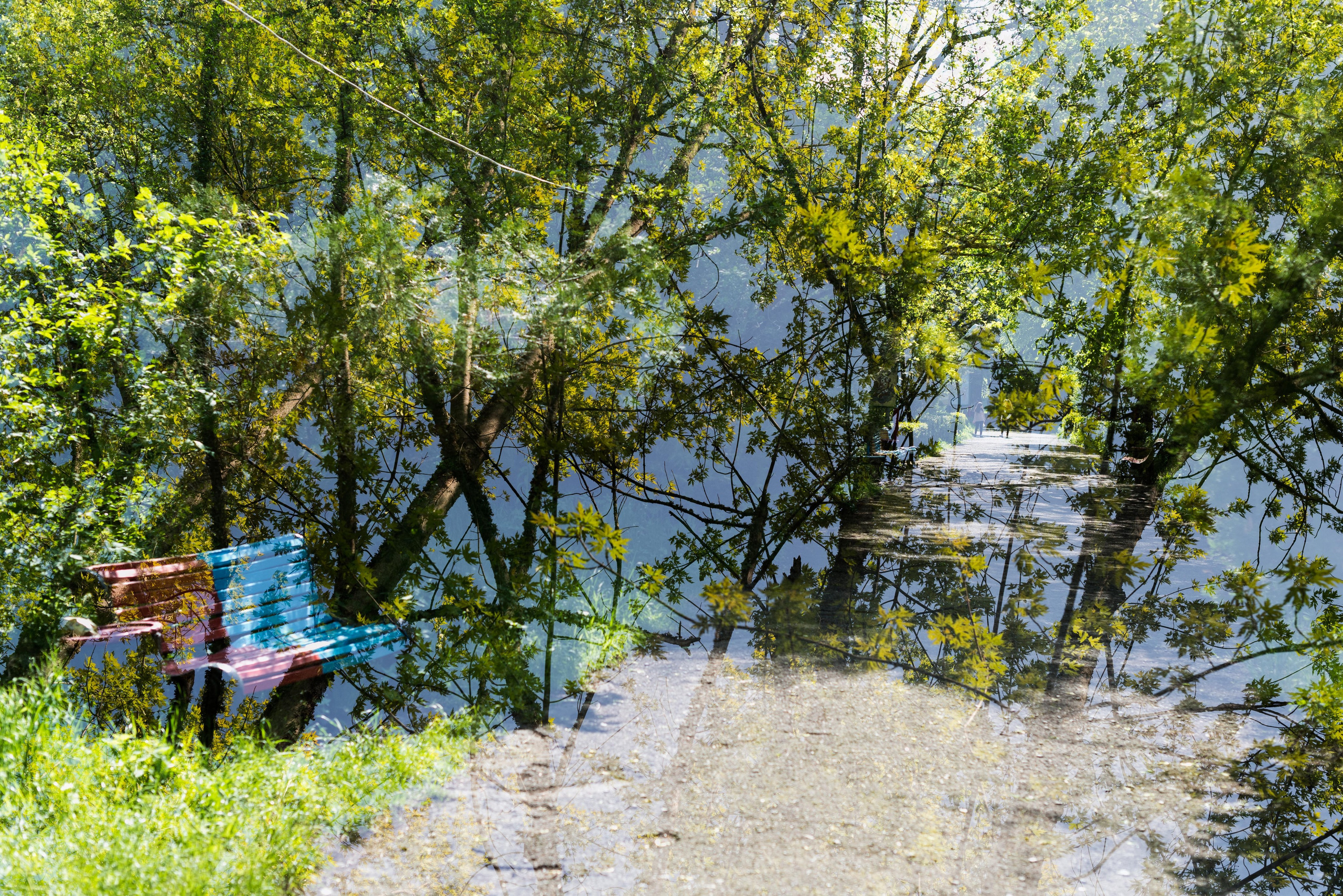 Dilijan park, Armenia. Событийный и тревел фотограф в Москве и по всему миру Мария Салахутдинова
