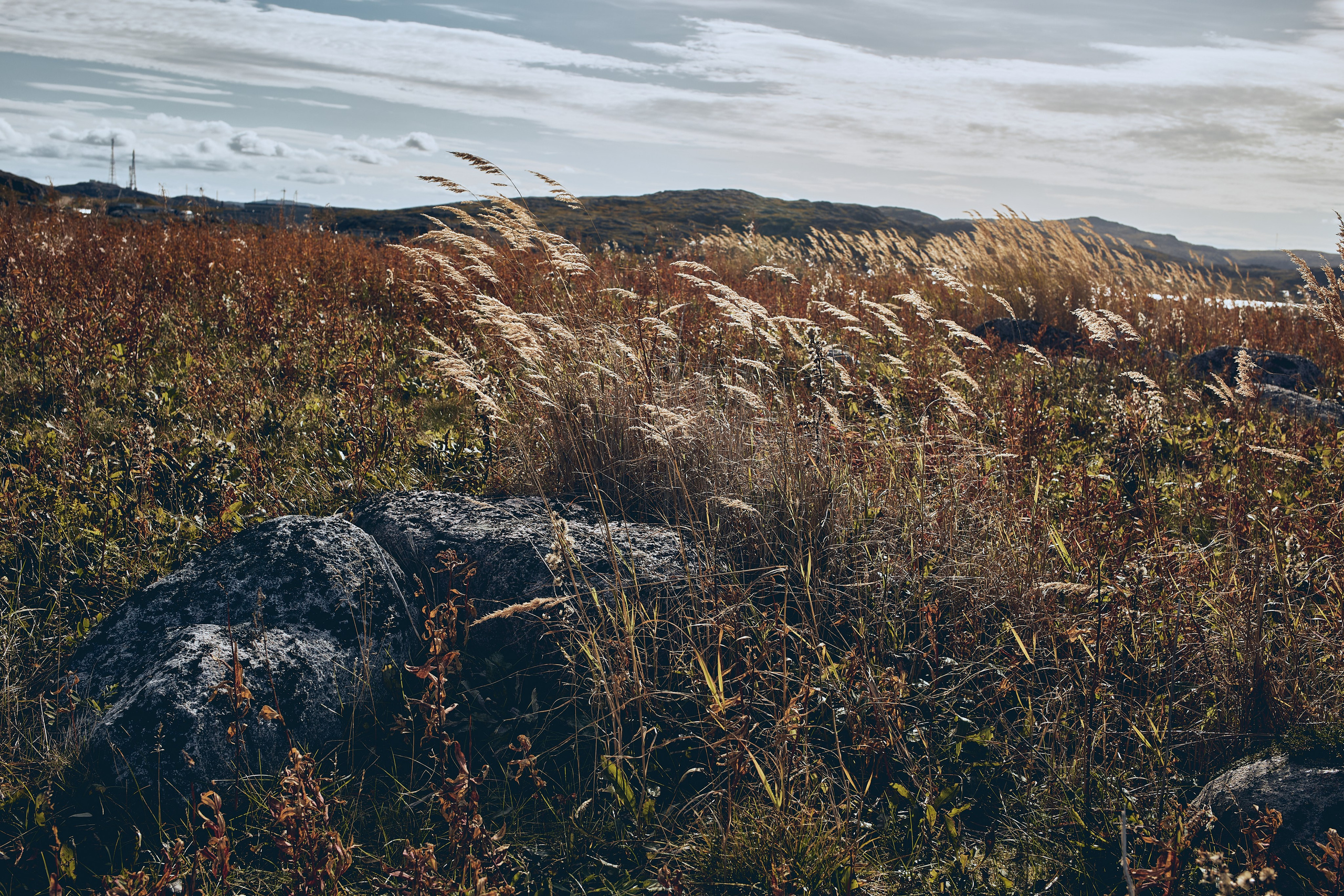 Путешествие на Край Земли. Юлия Иванова. Фотограф для лучших моментов