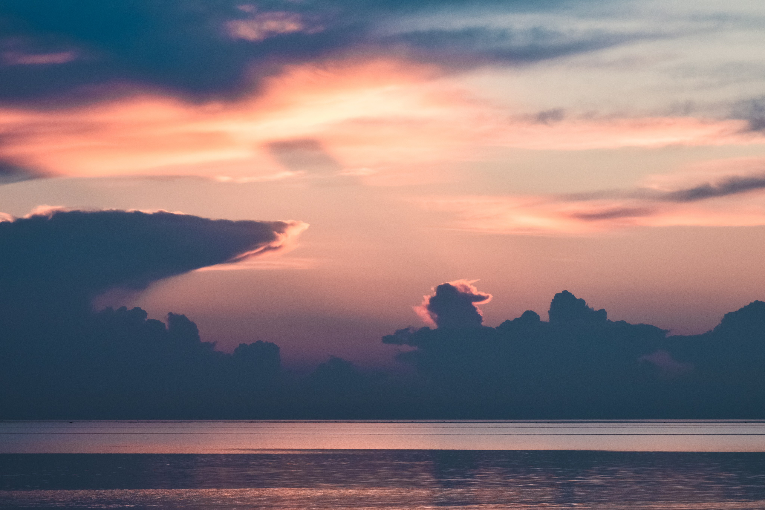 Архангельская область, Двинская губа. Фотограф в Москве Максим Скоробогатов