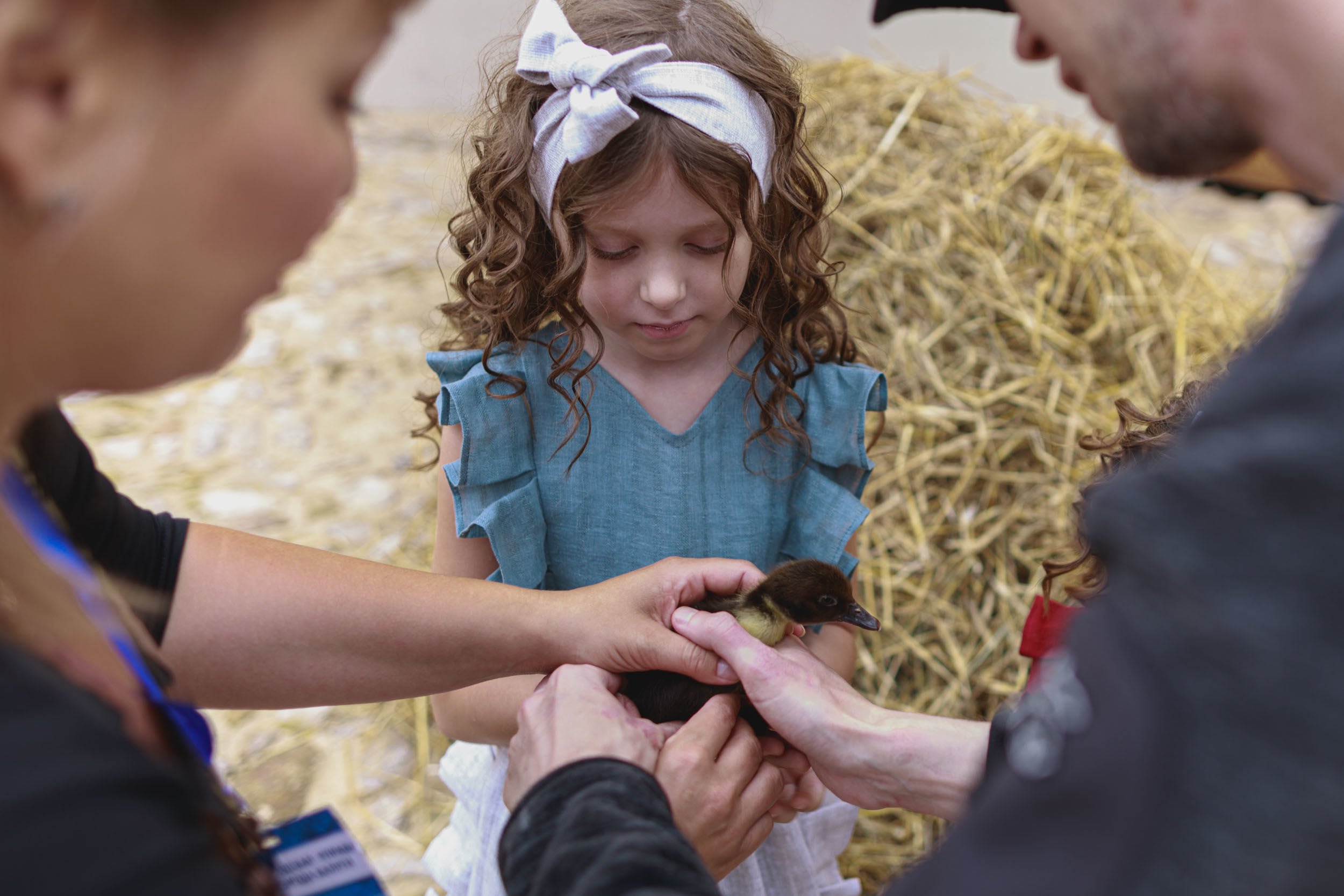 ФотоFest 2020 года. Калужский городской фотоконкурс
