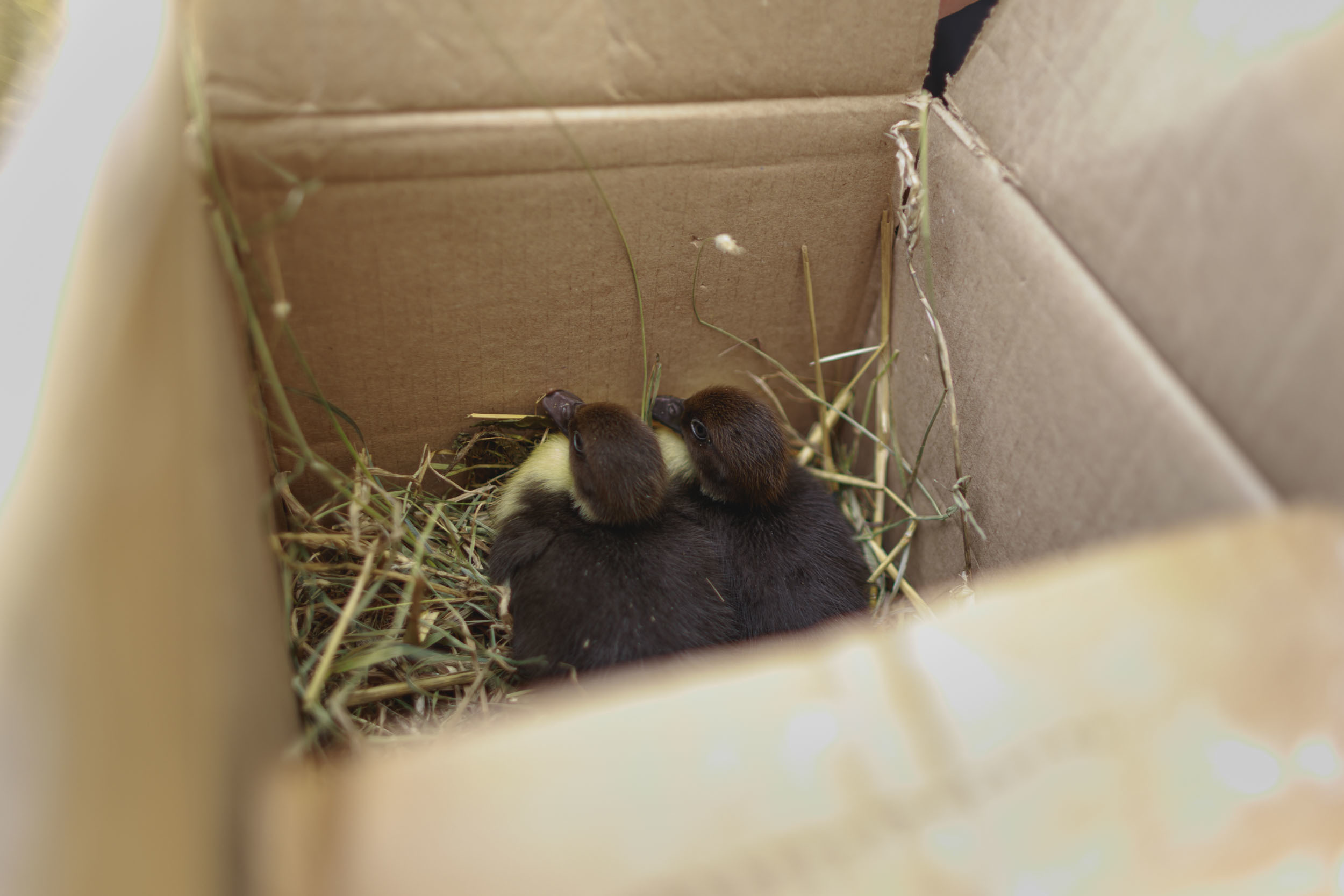 ФотоFest 2020 года. Калужский городской фотоконкурс