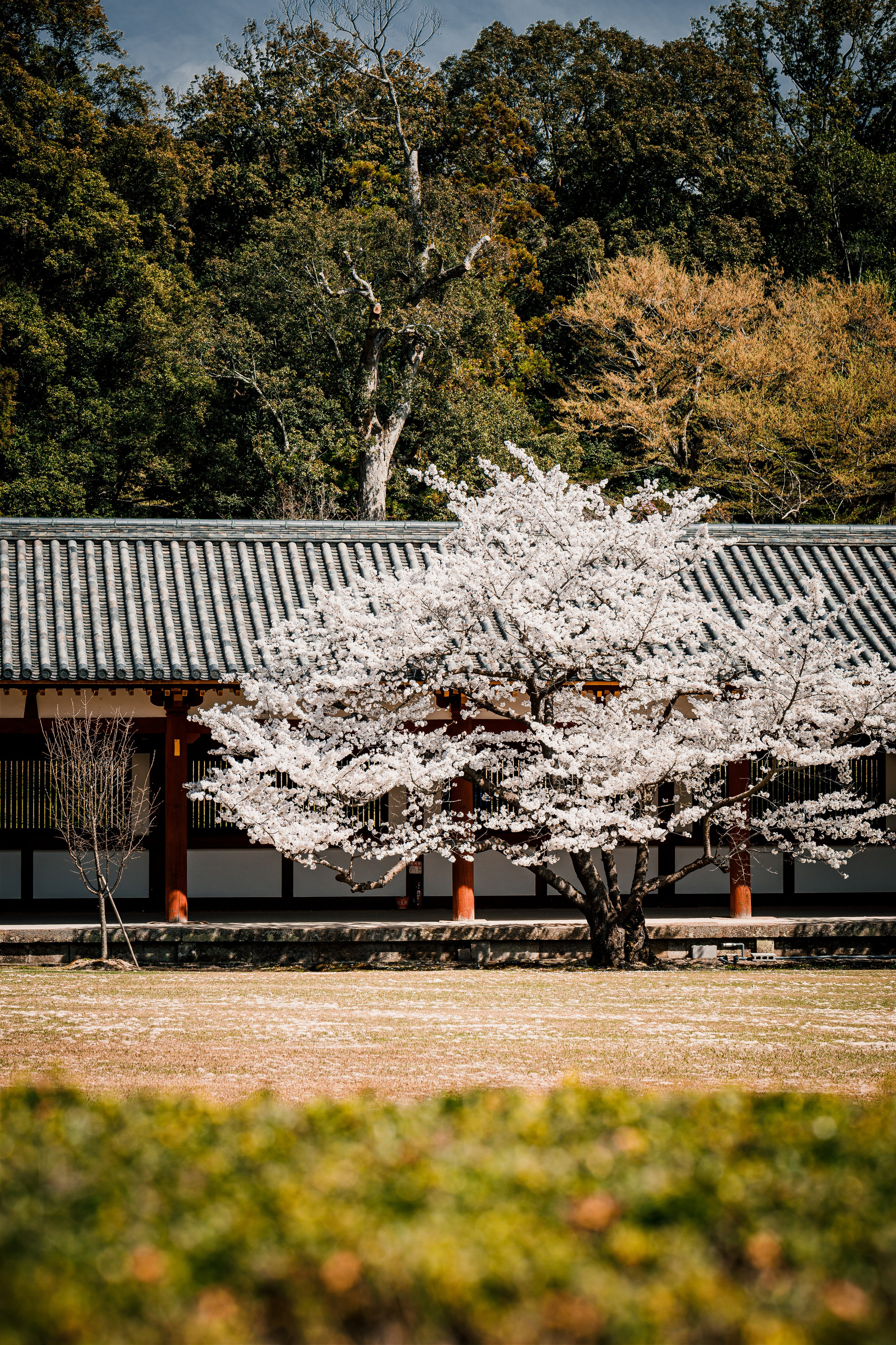 Турецкие приключения: Каппадокия + Ликийская тропа. Свадебный и Студийный фотограф из Казахстана Артем Орлянский