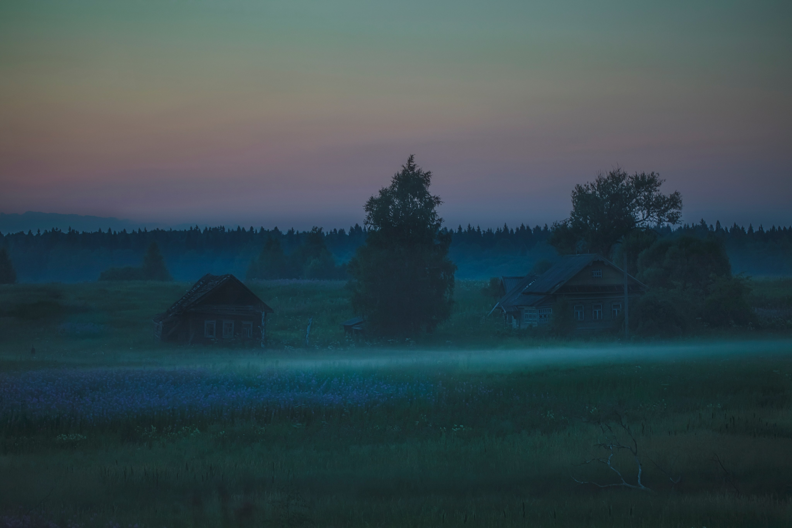 Тишина. Свадьбы, портретная, предметная съемка. Фотограф Александр К