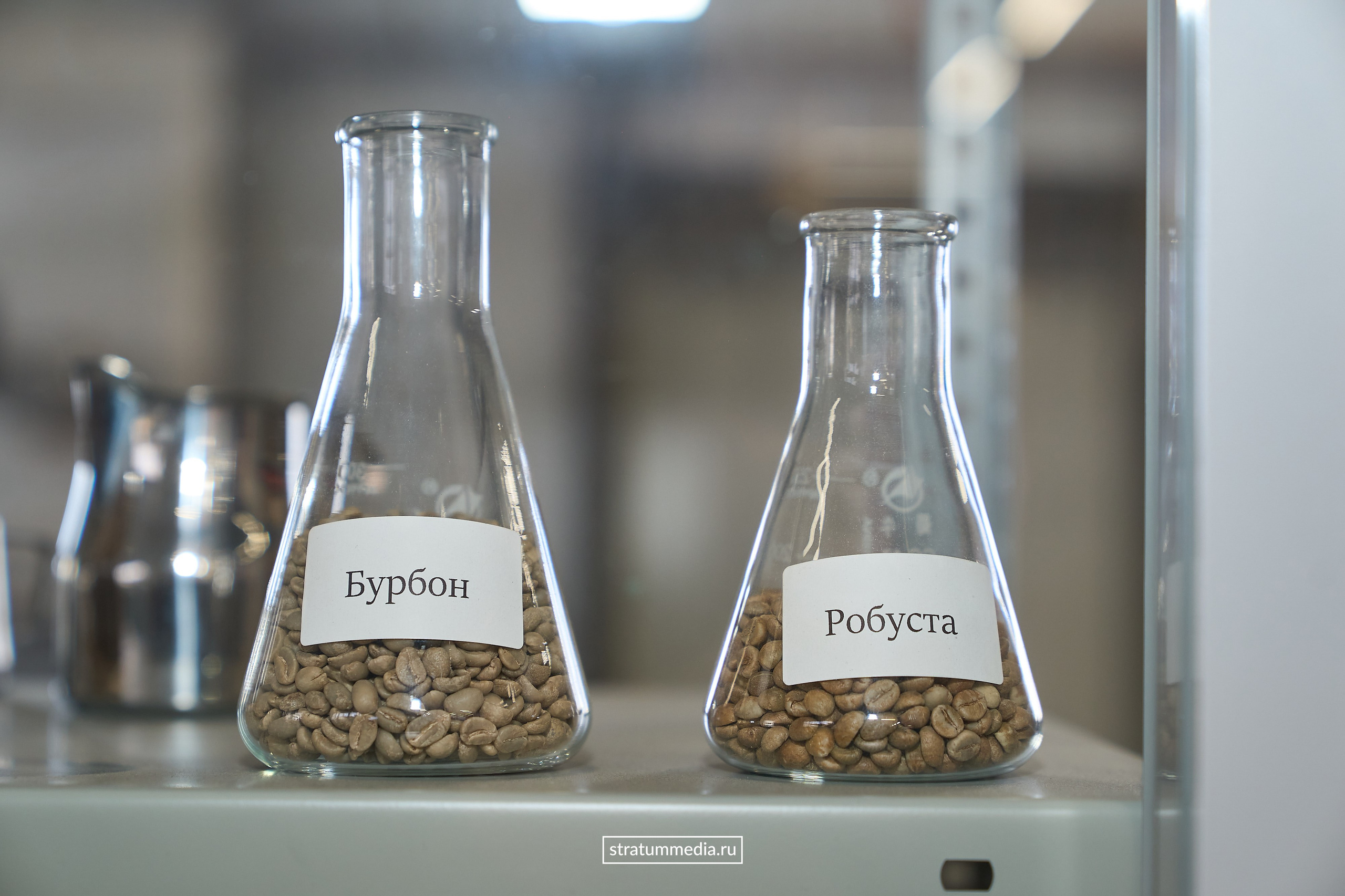 Дегустация новых сортов кофе от Coffee Element. Главная