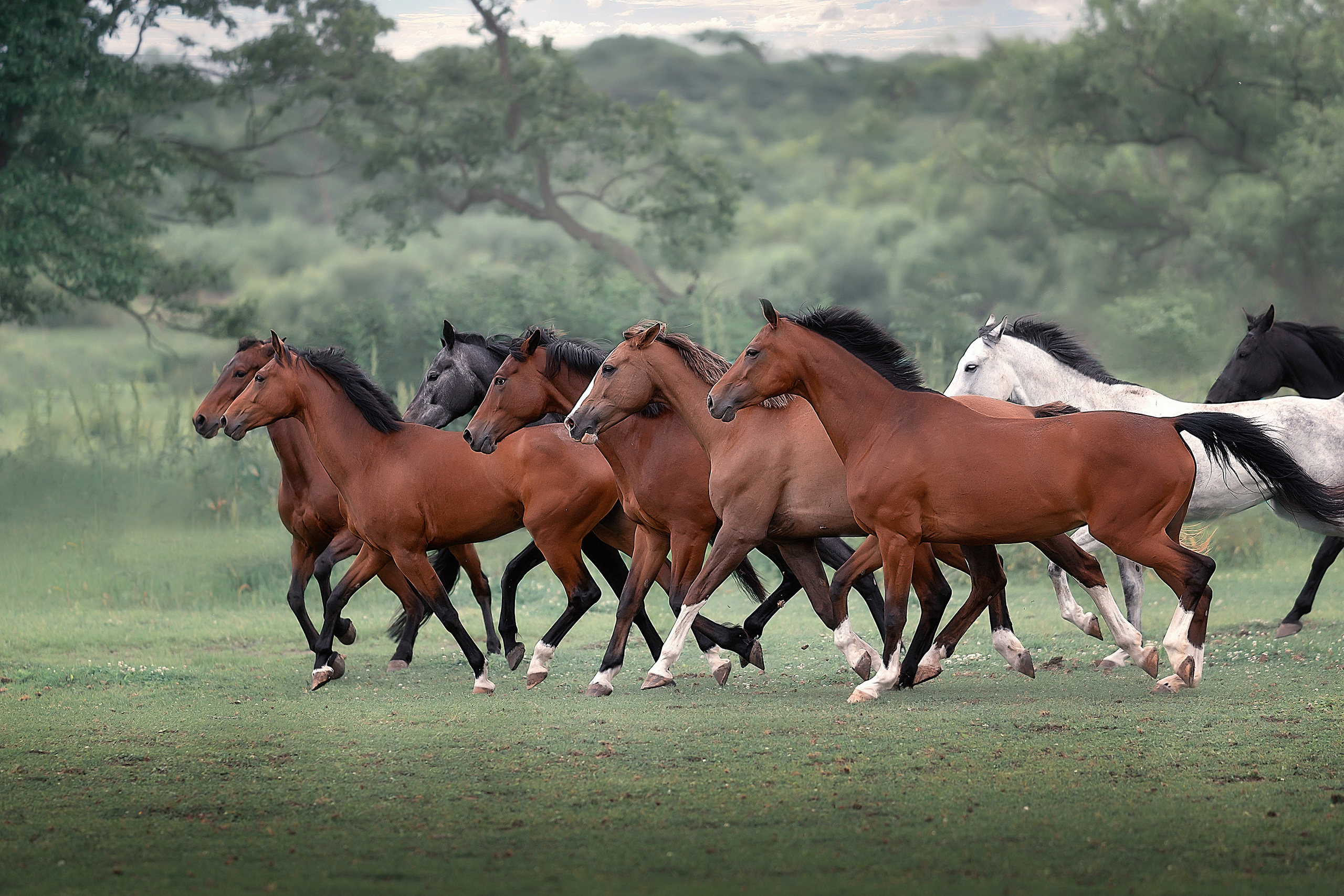 Образ для Фотосессии во Владивостоке. Фотограф Кочнова Диана город Владивосток