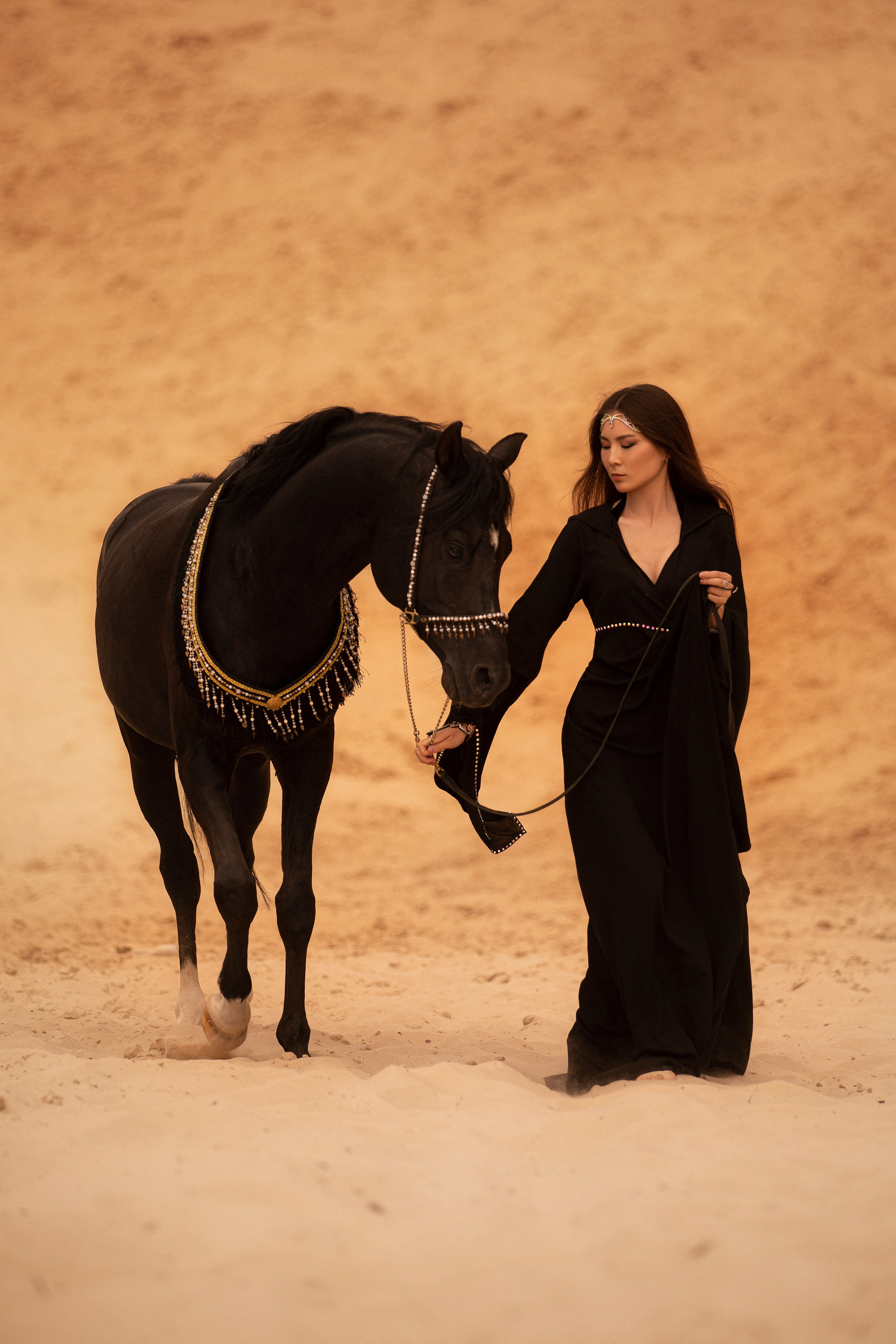 "Девушка в восточном стиле с длинными волосами наблюдает за лошадью, сидящей на задних ногах на песчаном фоне. Удивительная грация и умение животного в сочетании с элегантностью девушки создают динамичную и красивую сцену. Идеально подходит для клиентов в Москве и области, ищущих оригинальные и эффектные кадры с животными."