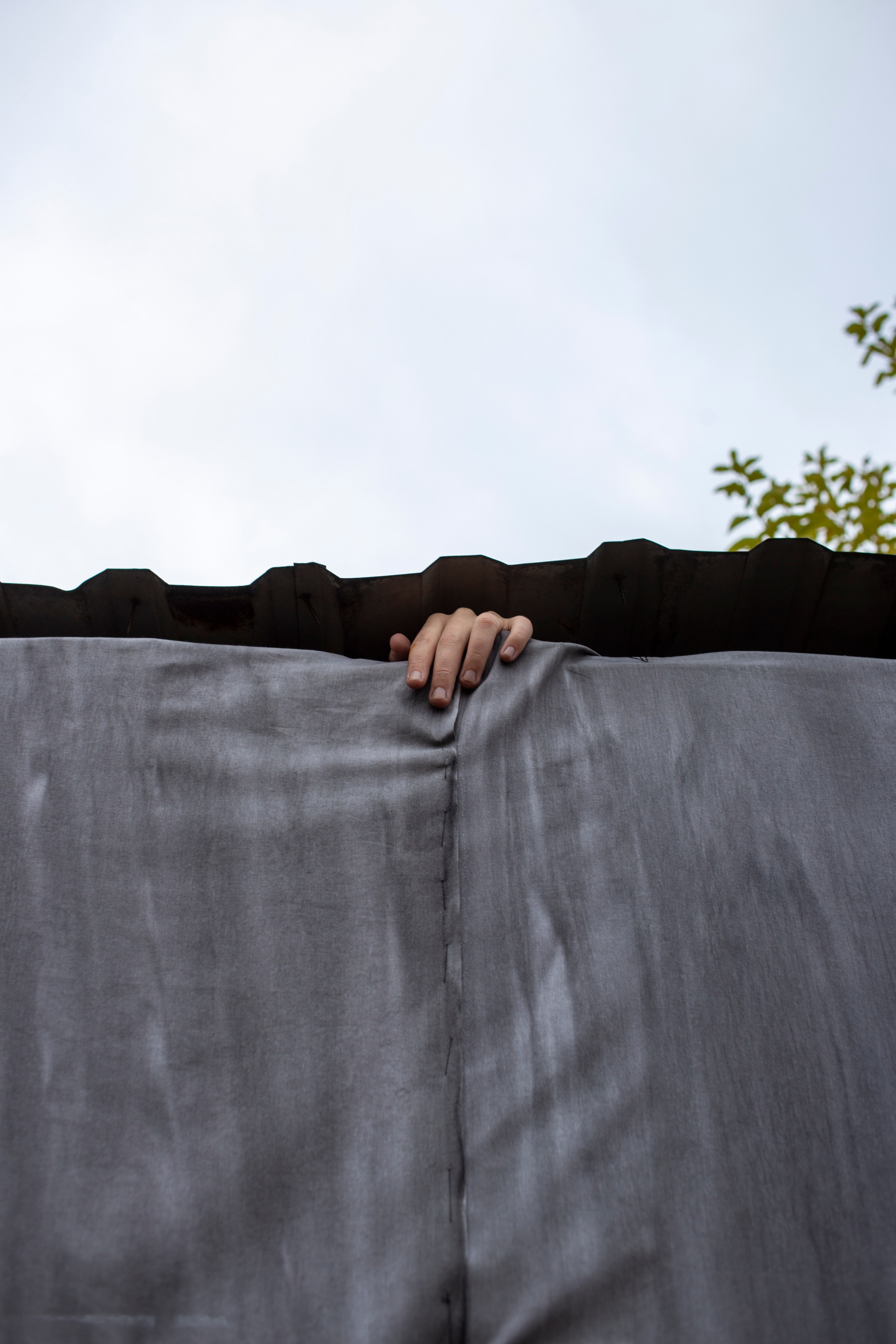 Сумерки речи. Михаил Курганов