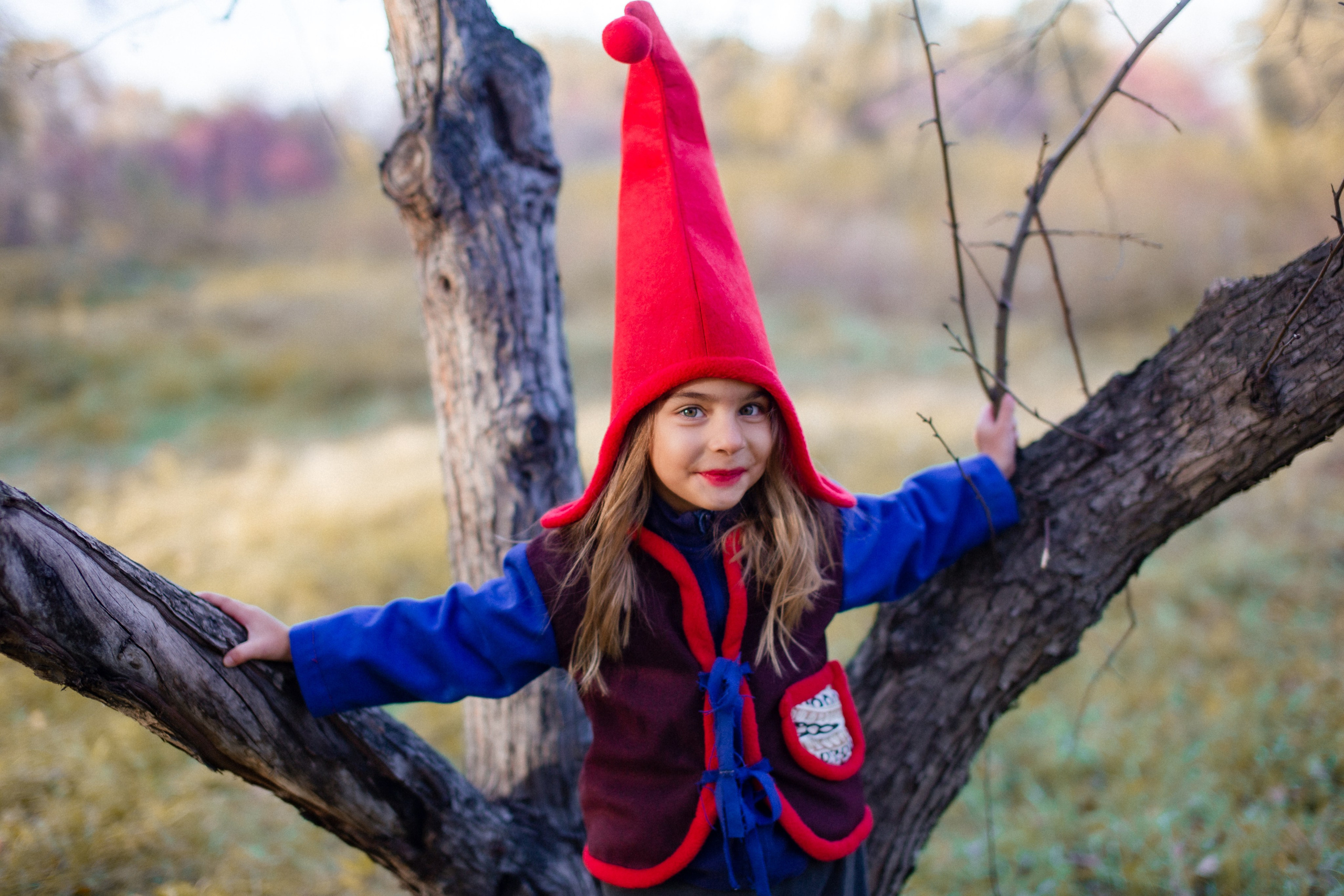 Лесные гномы