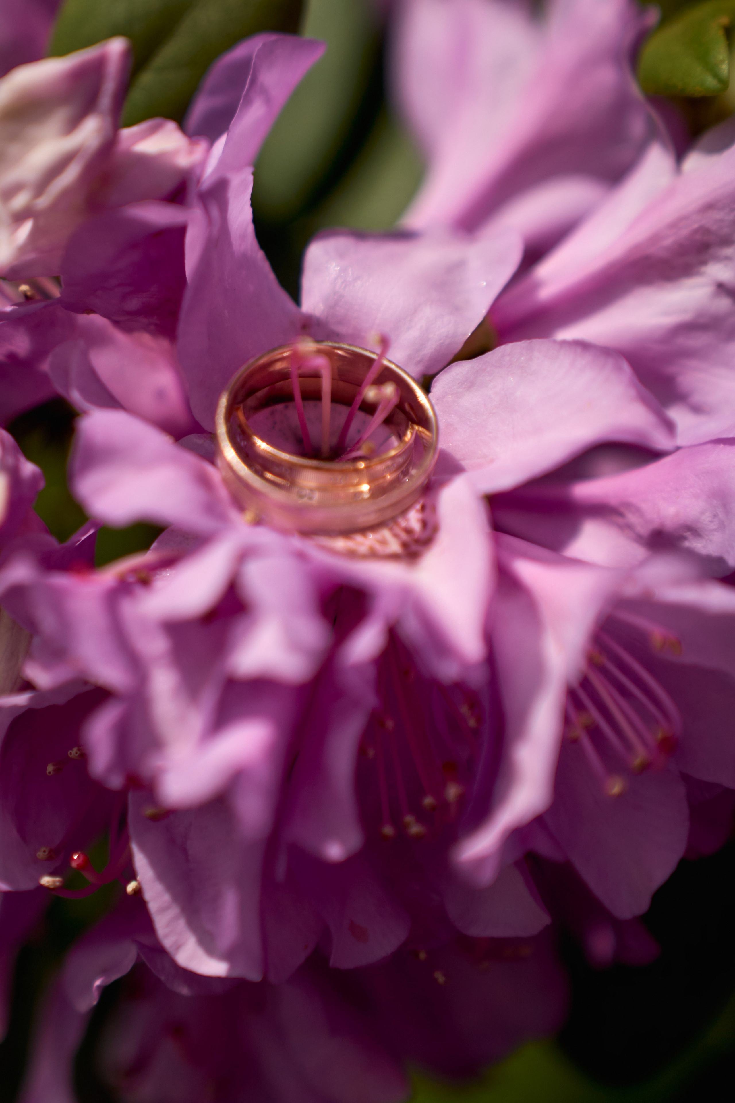 ВЕСНА В ПАРКЕ ГАЛИЦКОГО. ТВИНС СТУДИО — лучшие свадебные фотографы и видеографы в Краснодаре