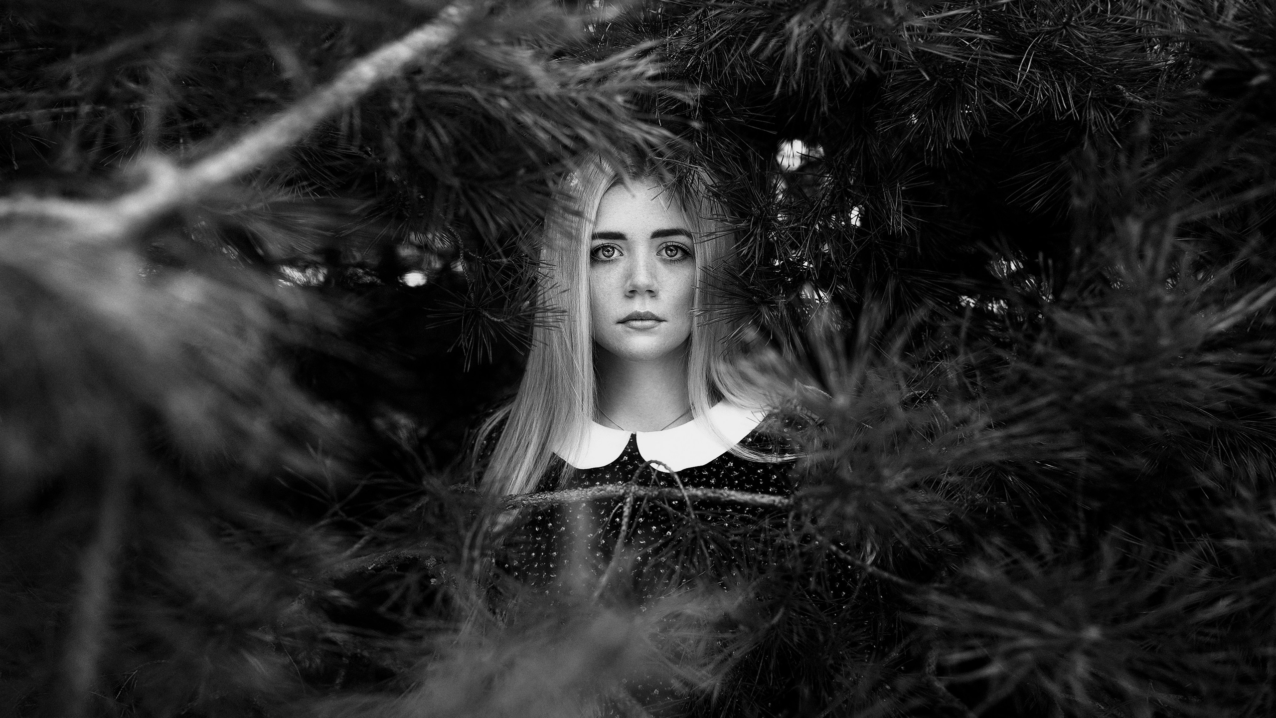 Свадебный и репортажный фотограф в Воронеже Роман Янко