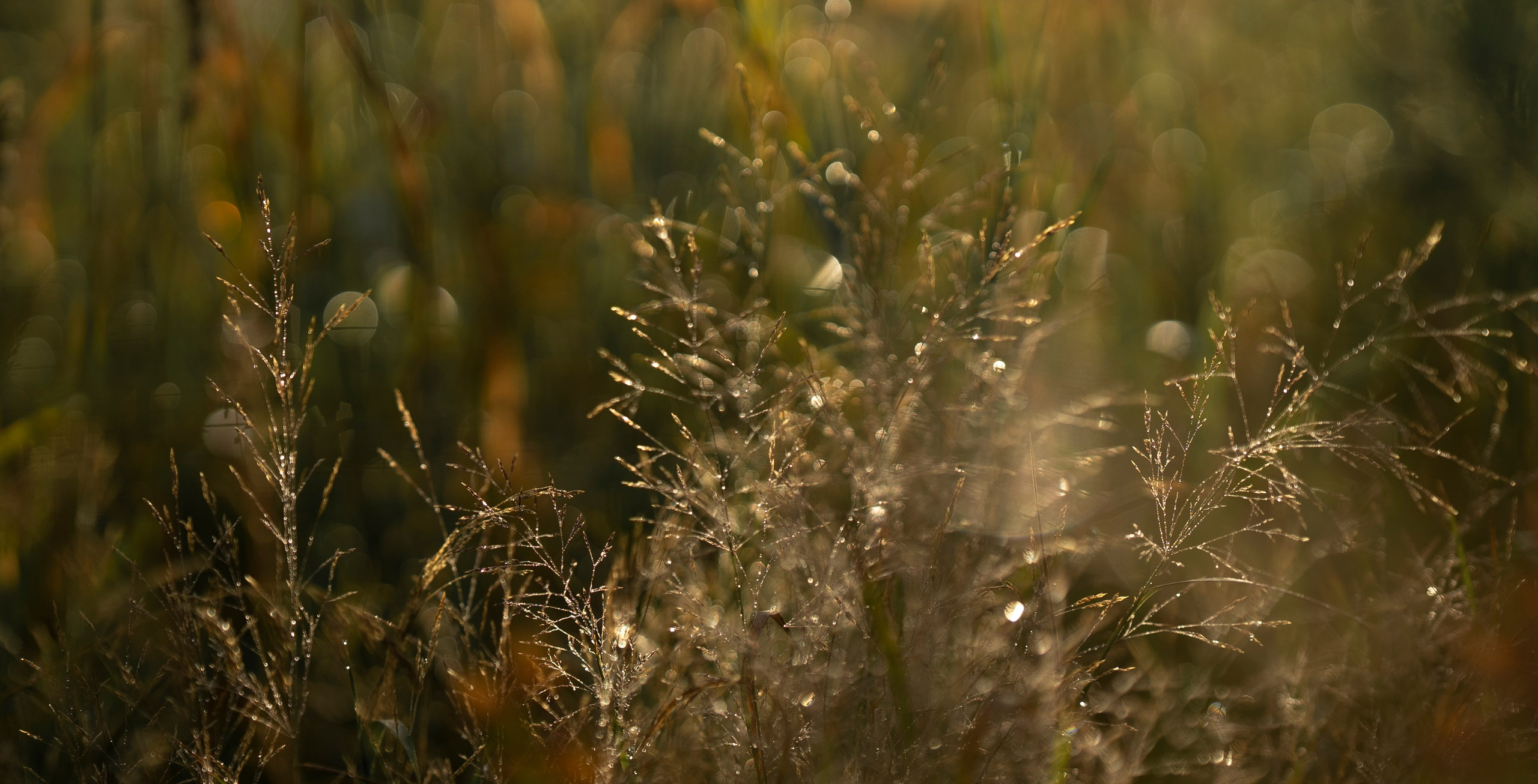 Фотограф Татьяна Андриянова