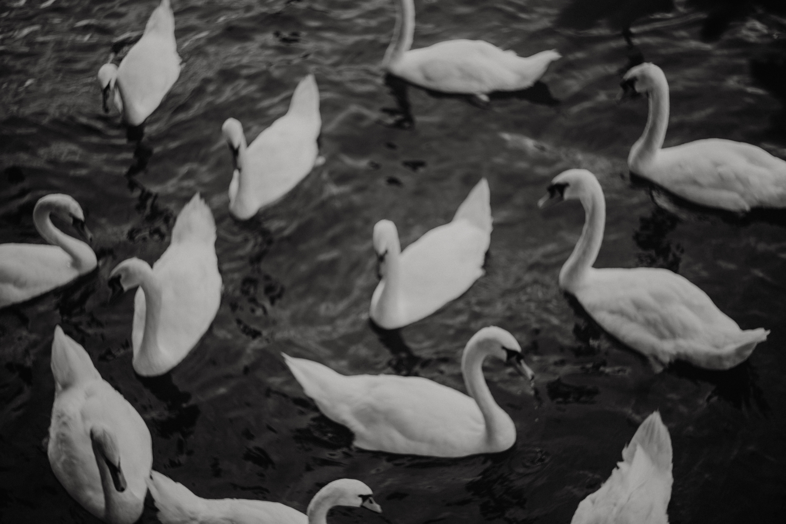 Wedding Event ART Photographer