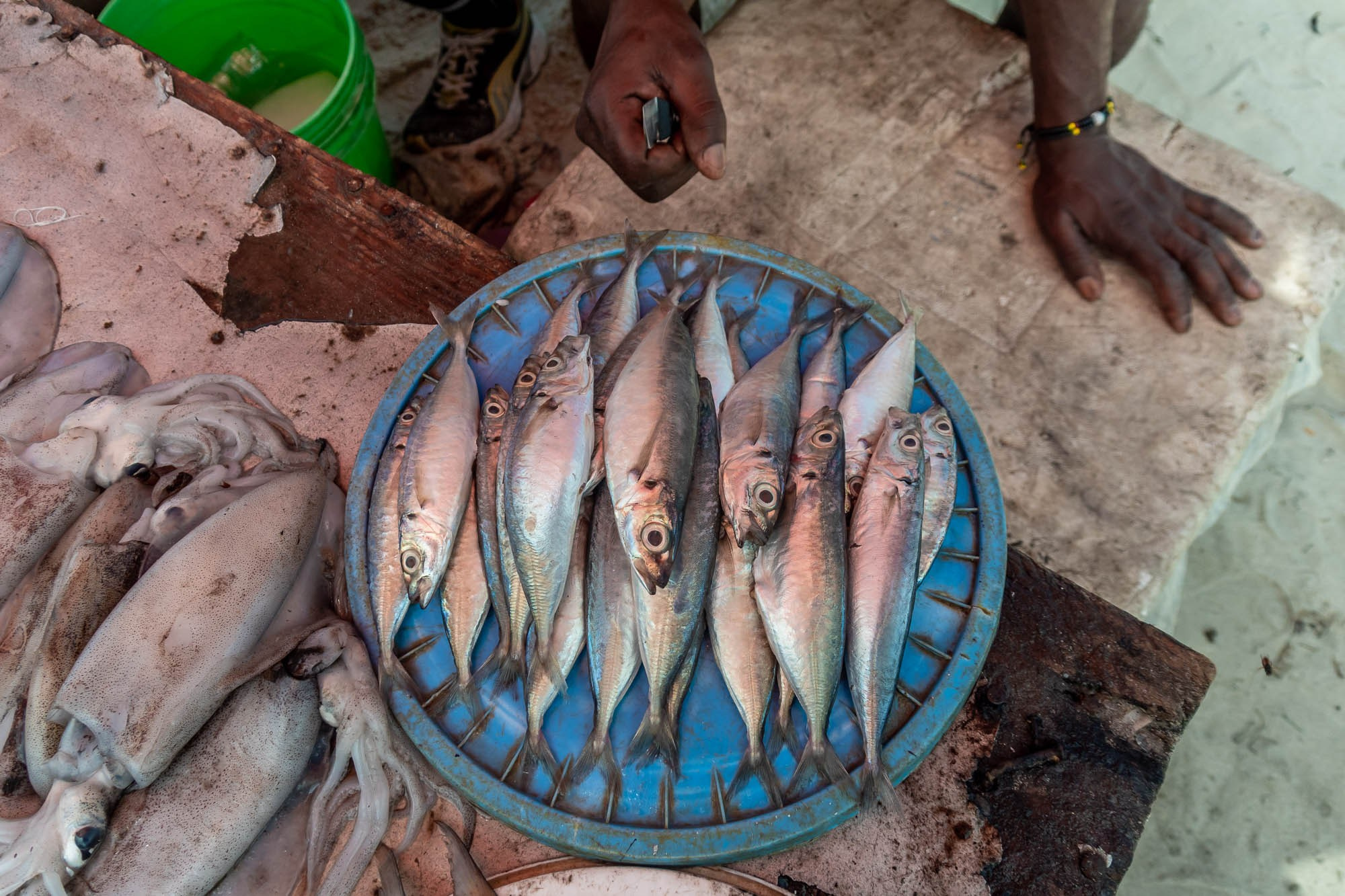 Танзания. Багамойо. Tanzania, Bagamoyo. Фотограф Алексей Скоробогатько