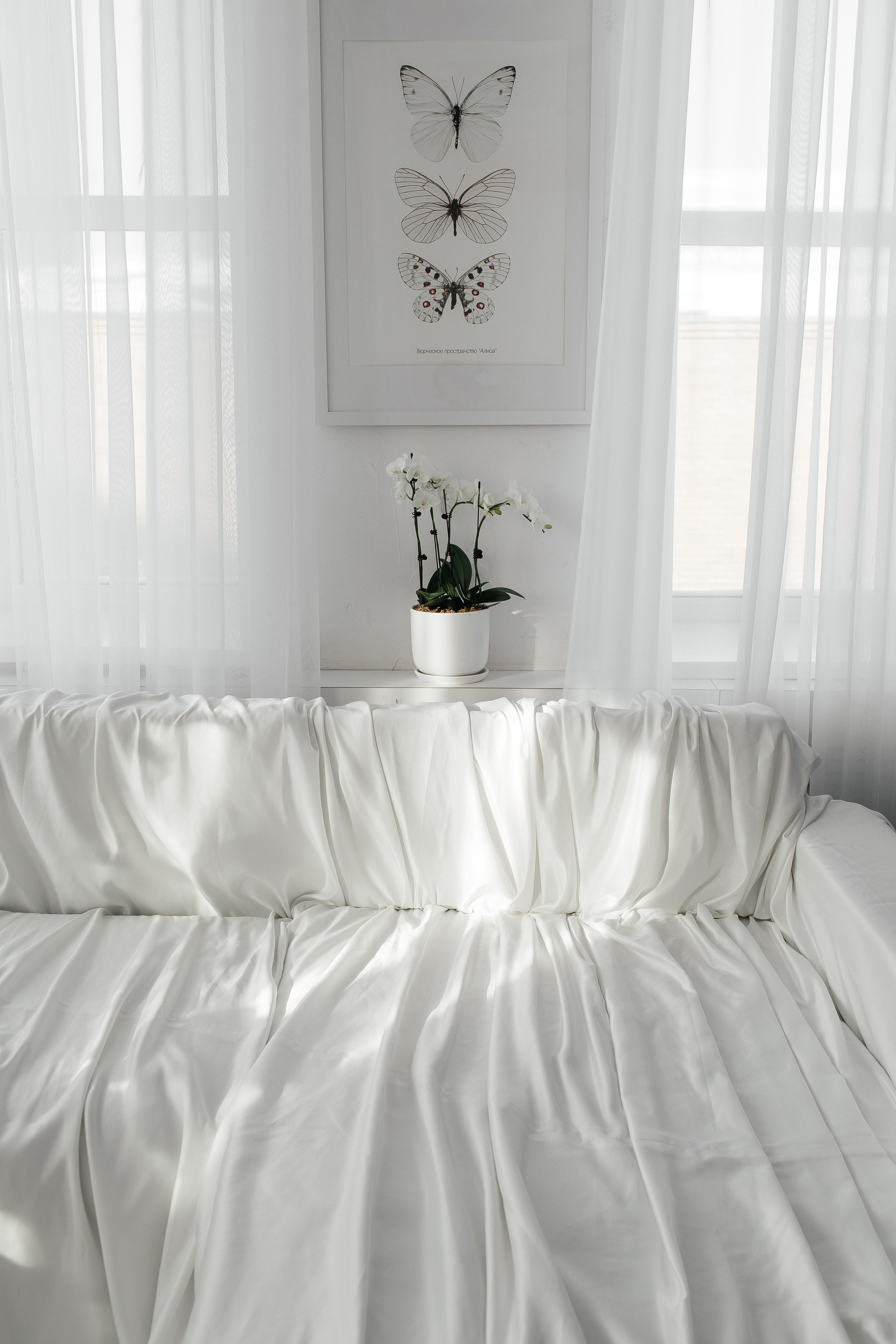 Интерьер. Фотостудия «Алиса» Тюмень