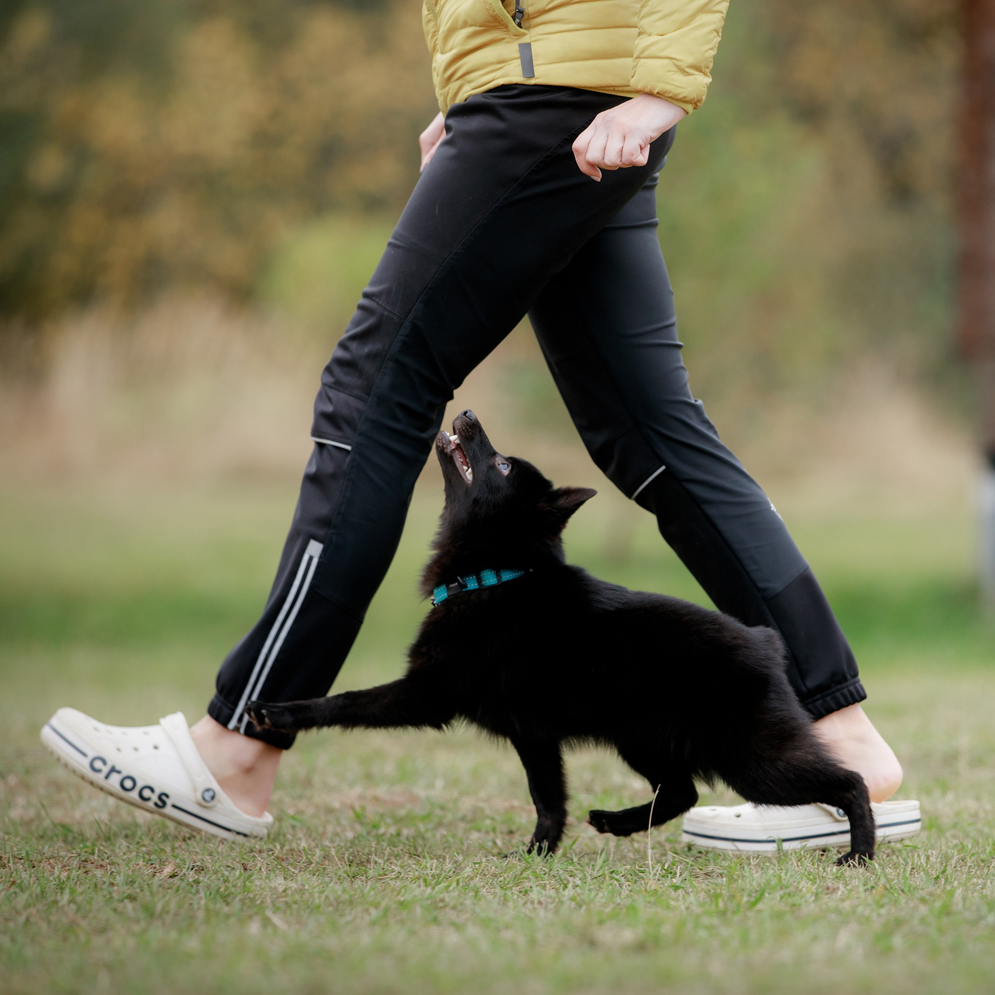 Фотограф-анималист Mary Mart — Москва, Питер