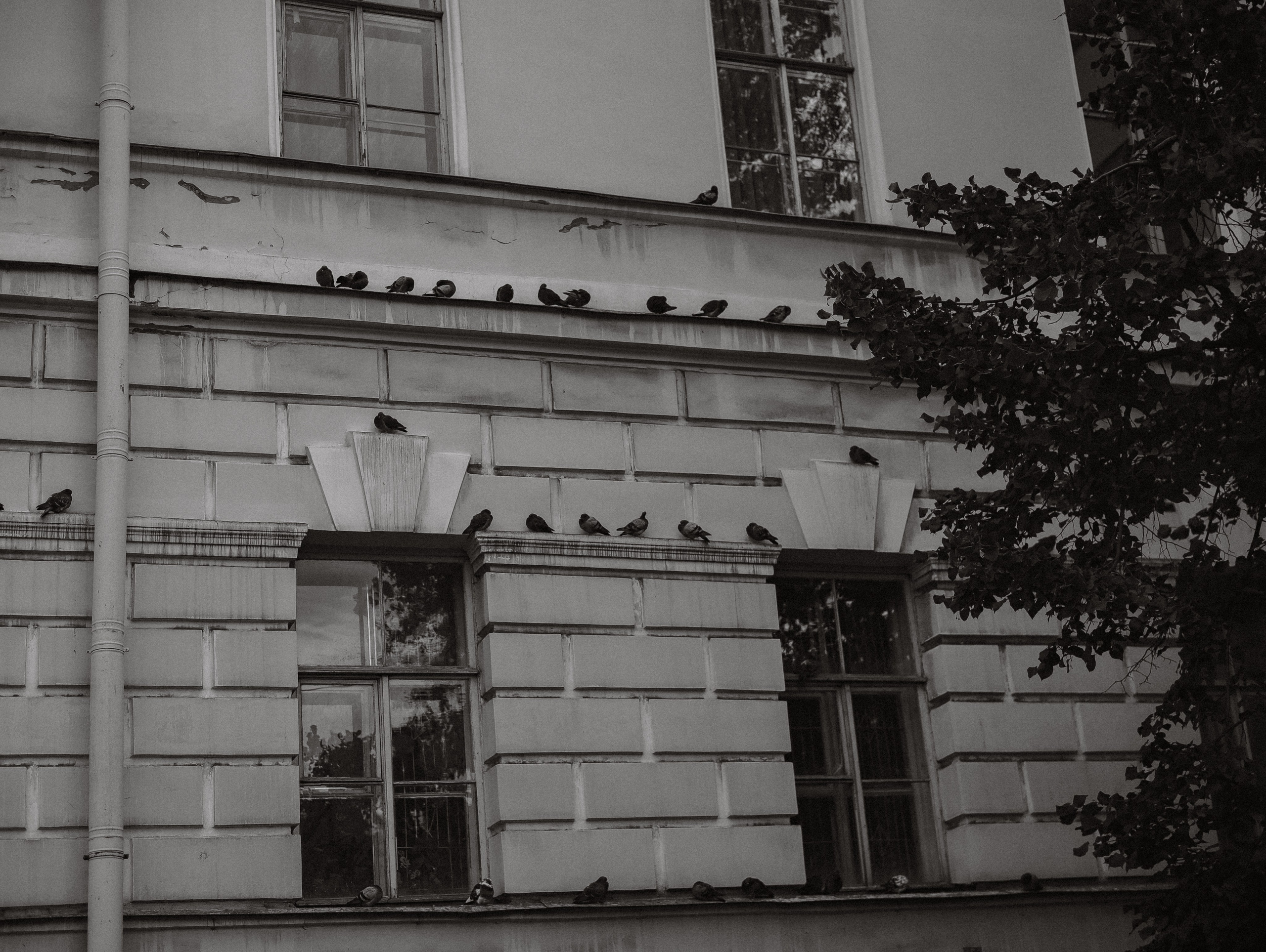 Свадебный фотограф в Казани и Санкт-Петербурге Евгения Есенина