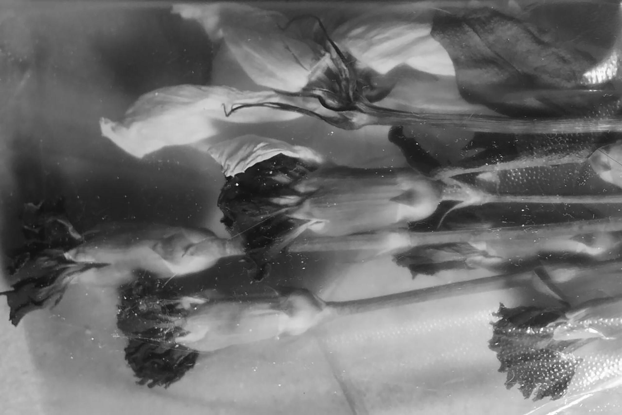 Черно-белый натюрморт с цветами