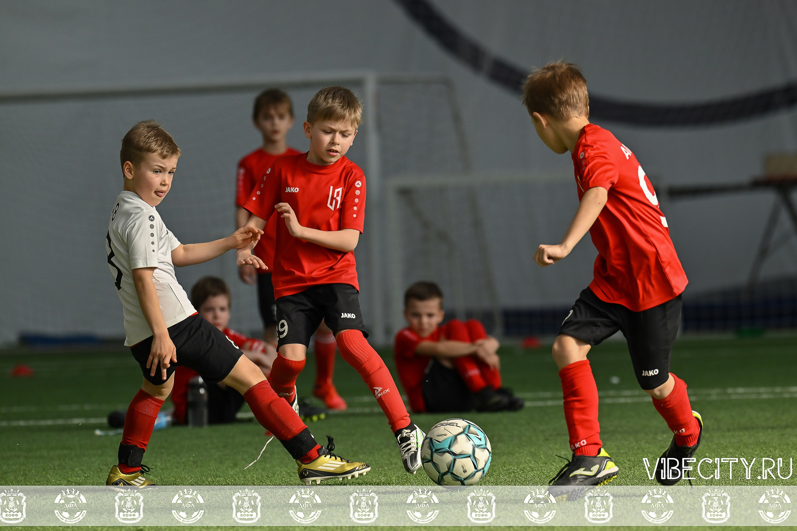 КУБОК БАЛТИЙСКОЙ ЛИГИ U9 СЛ. VIBECITY.RU Вайб Сити Ру Фоторепортажи Фотоотчеты Калининград