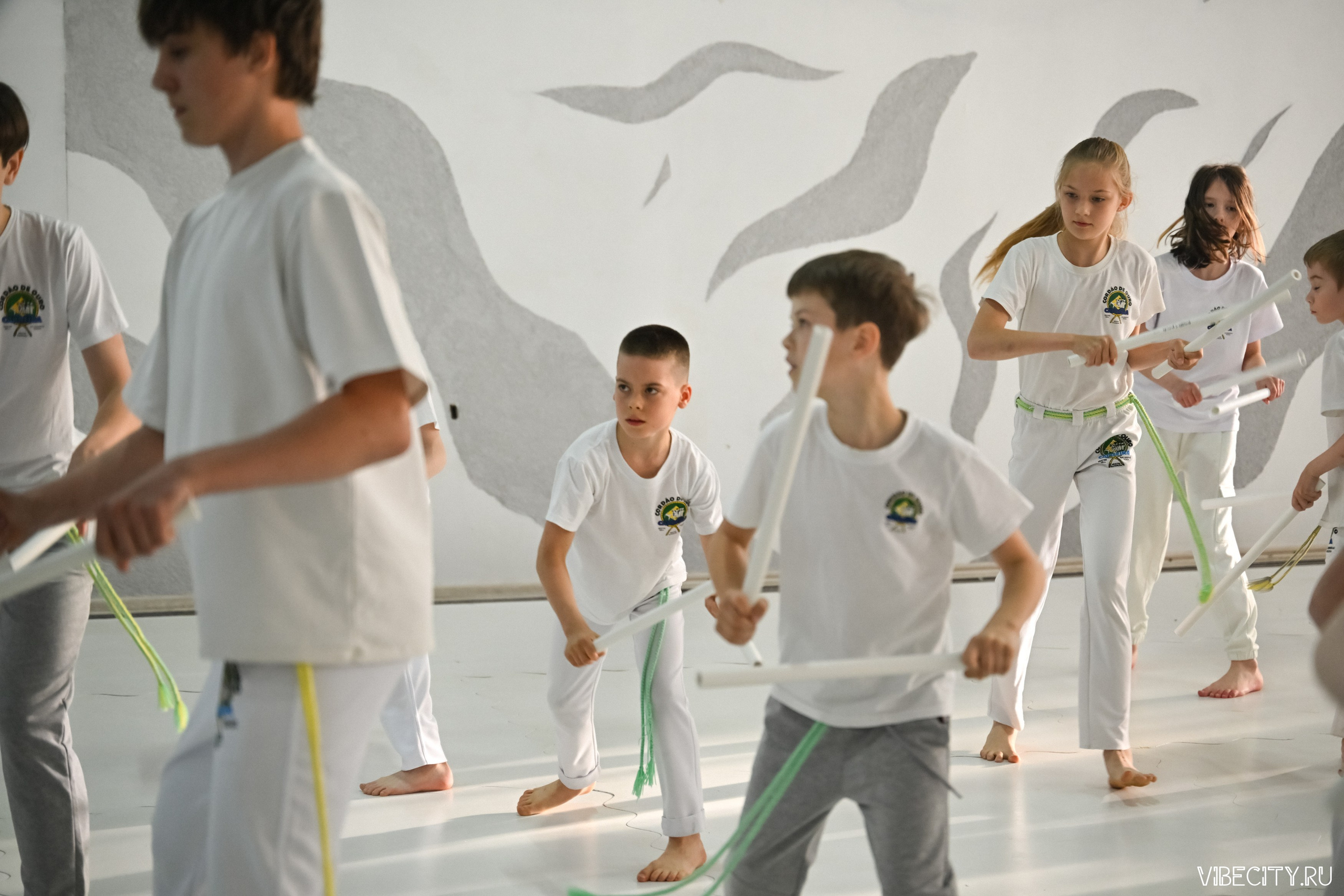 Capoeira: 4-е batizado e Troca de cordao. VIBECITY.RU Вайб Сити Ру Фоторепортажи Фотоотчеты Калининград