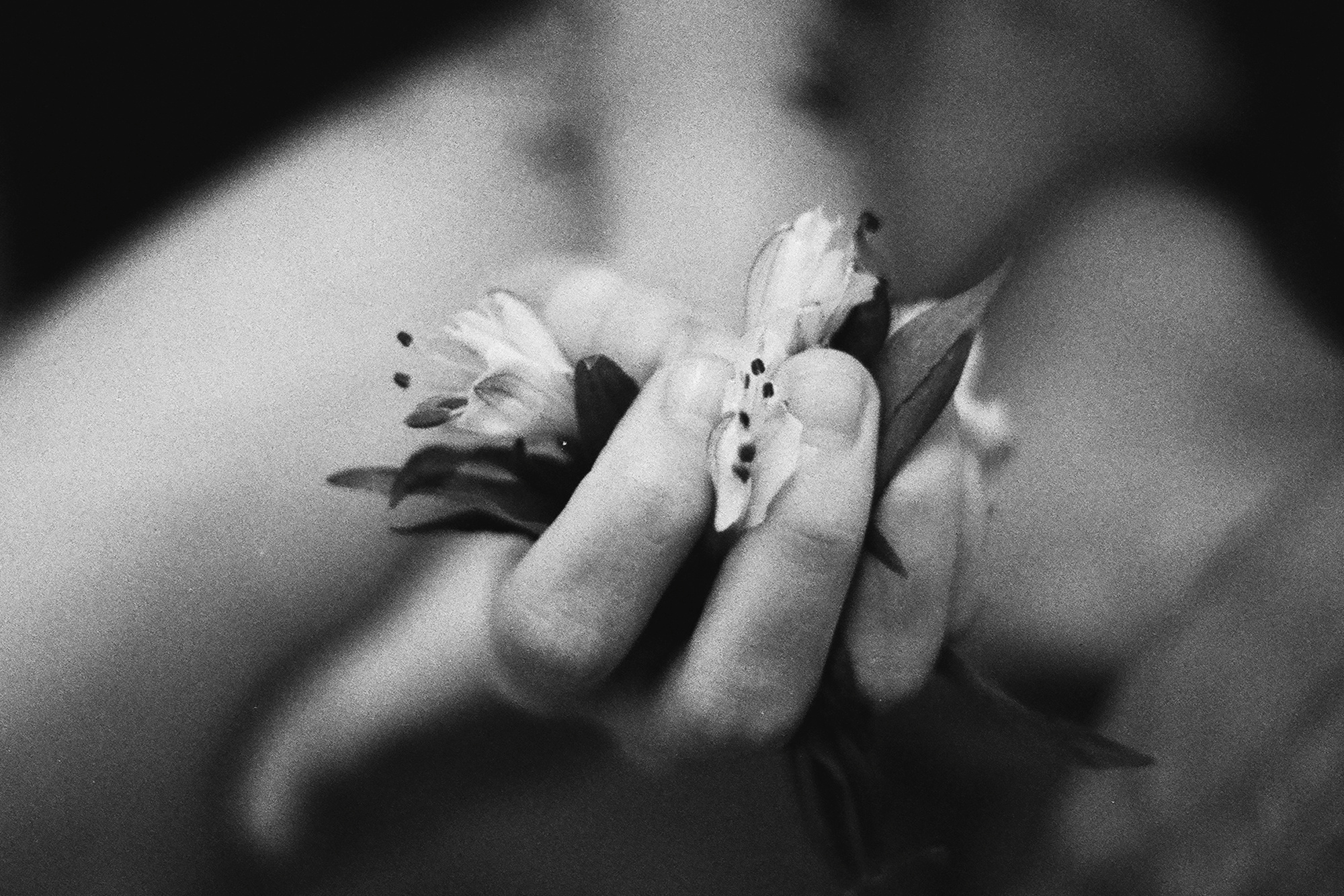 Bang bang. Polina Soyref, portrait photographer