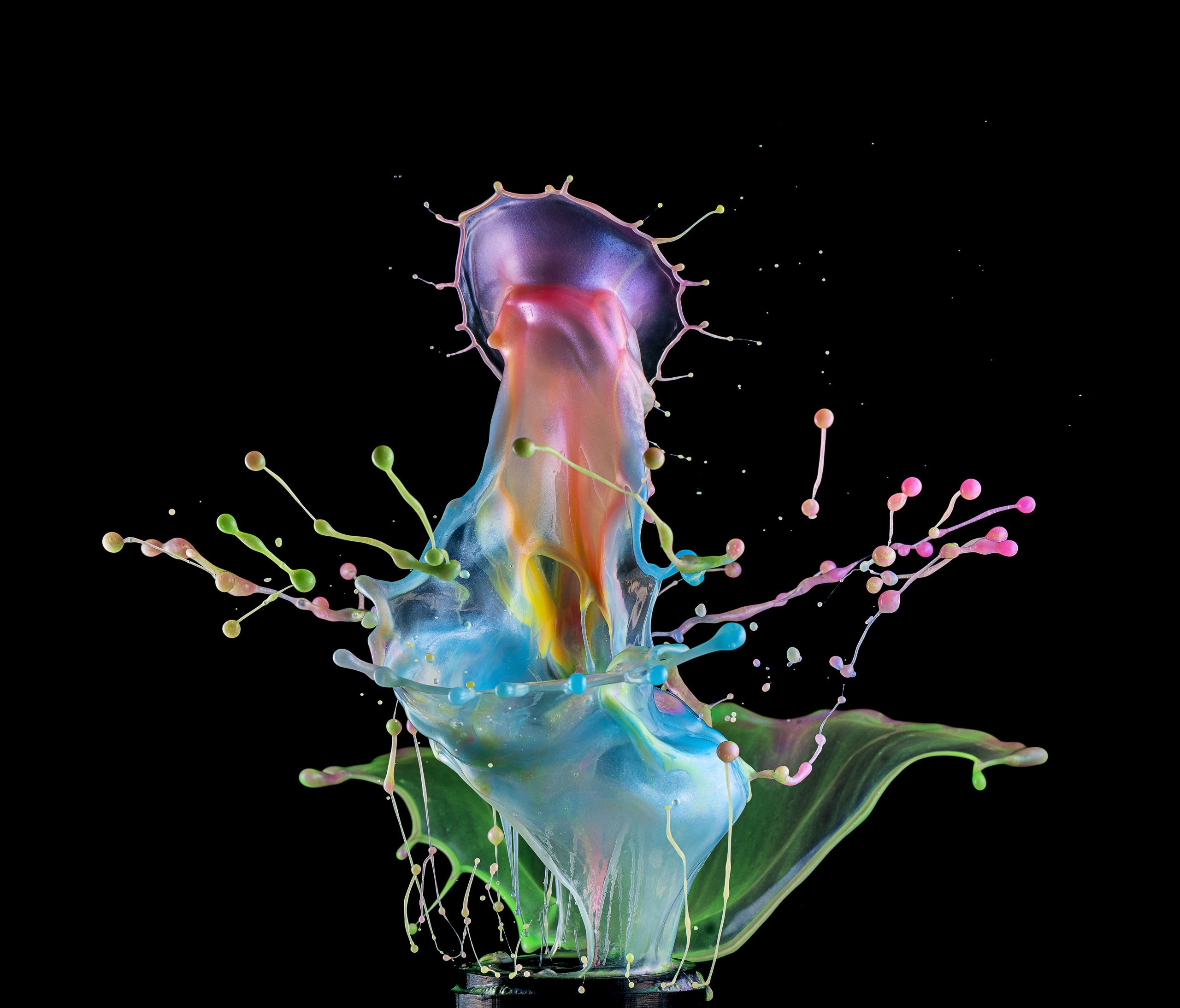 Скульптуры из воды Сергея Толмачева