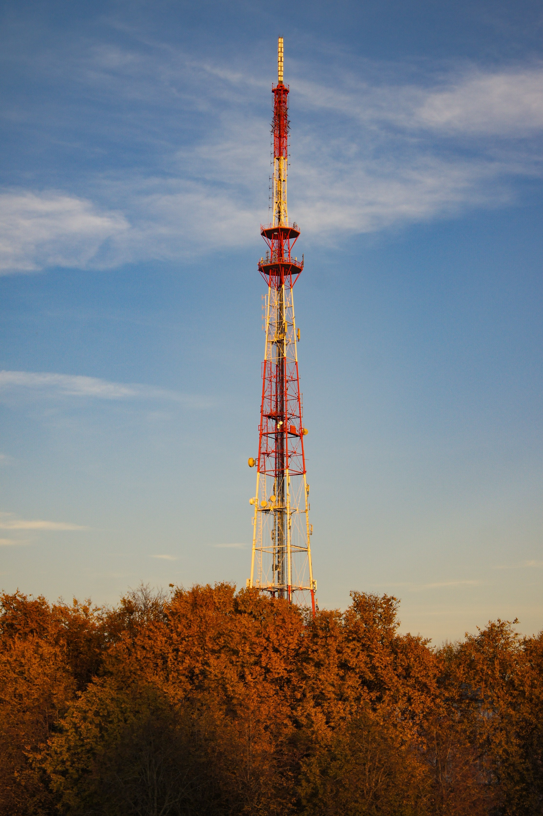 Мир вокруг: мобильная фотография — быстрая композиция. Любовь Каширская — фотограф для малого бизнеса и специалистов