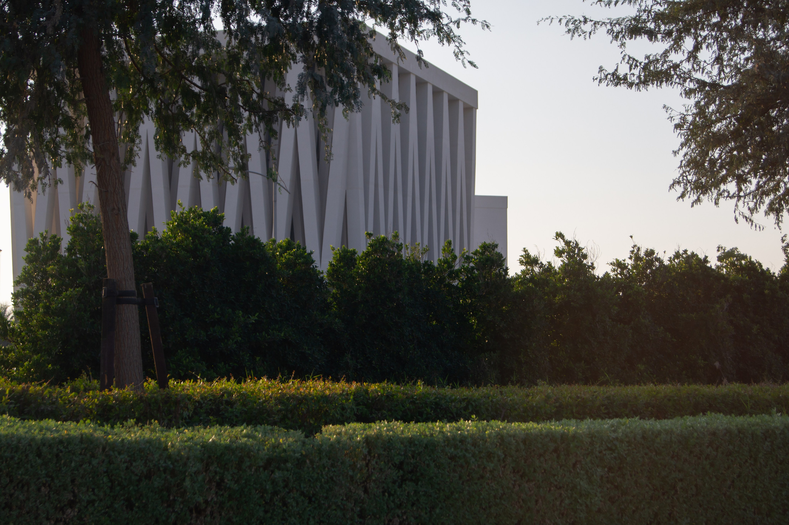 Архитектура и городские ритмы. Любовь Каширская — фотограф для малого бизнеса и специалистов