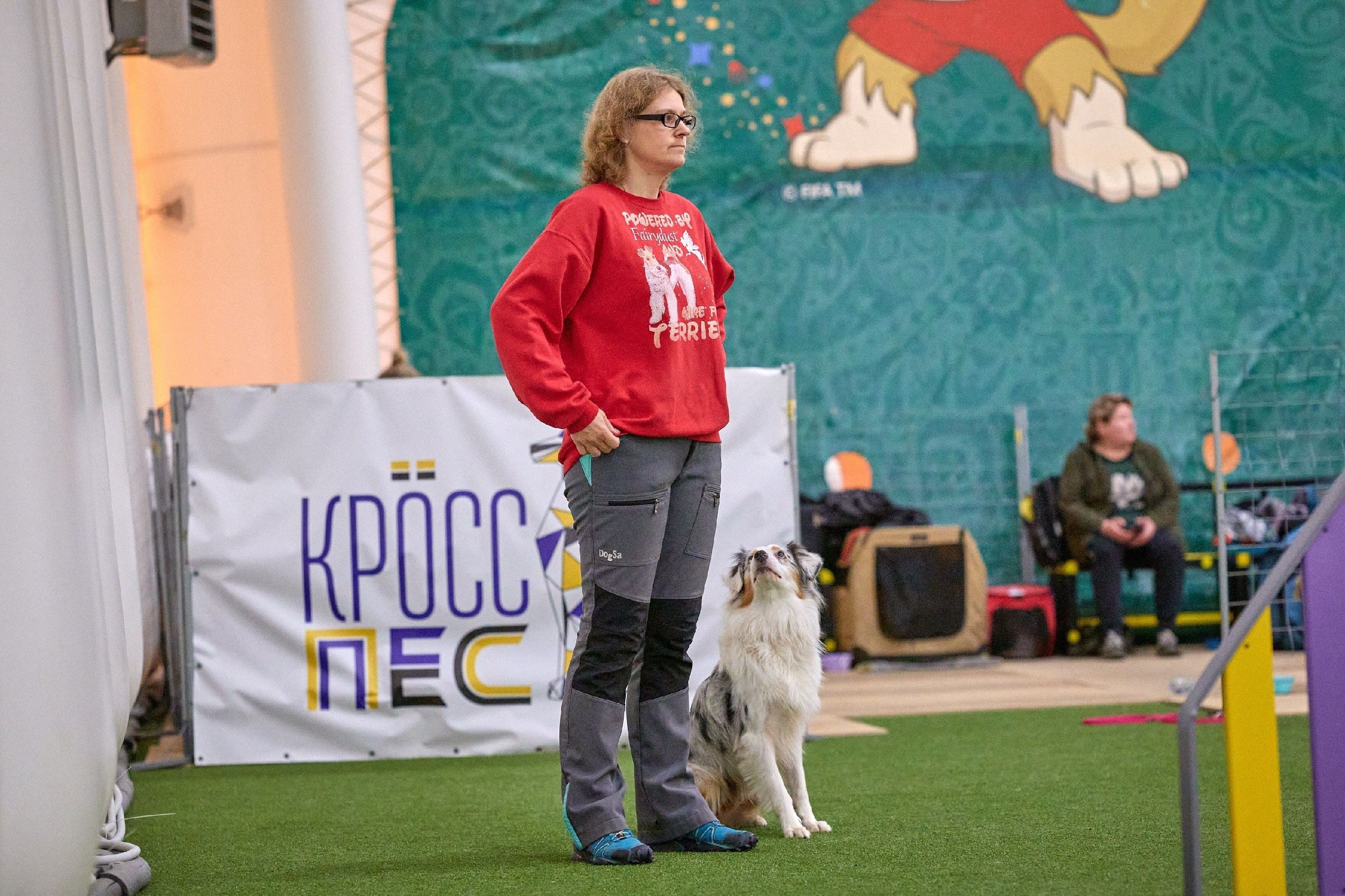 Кайса. BLGKV питомник собак