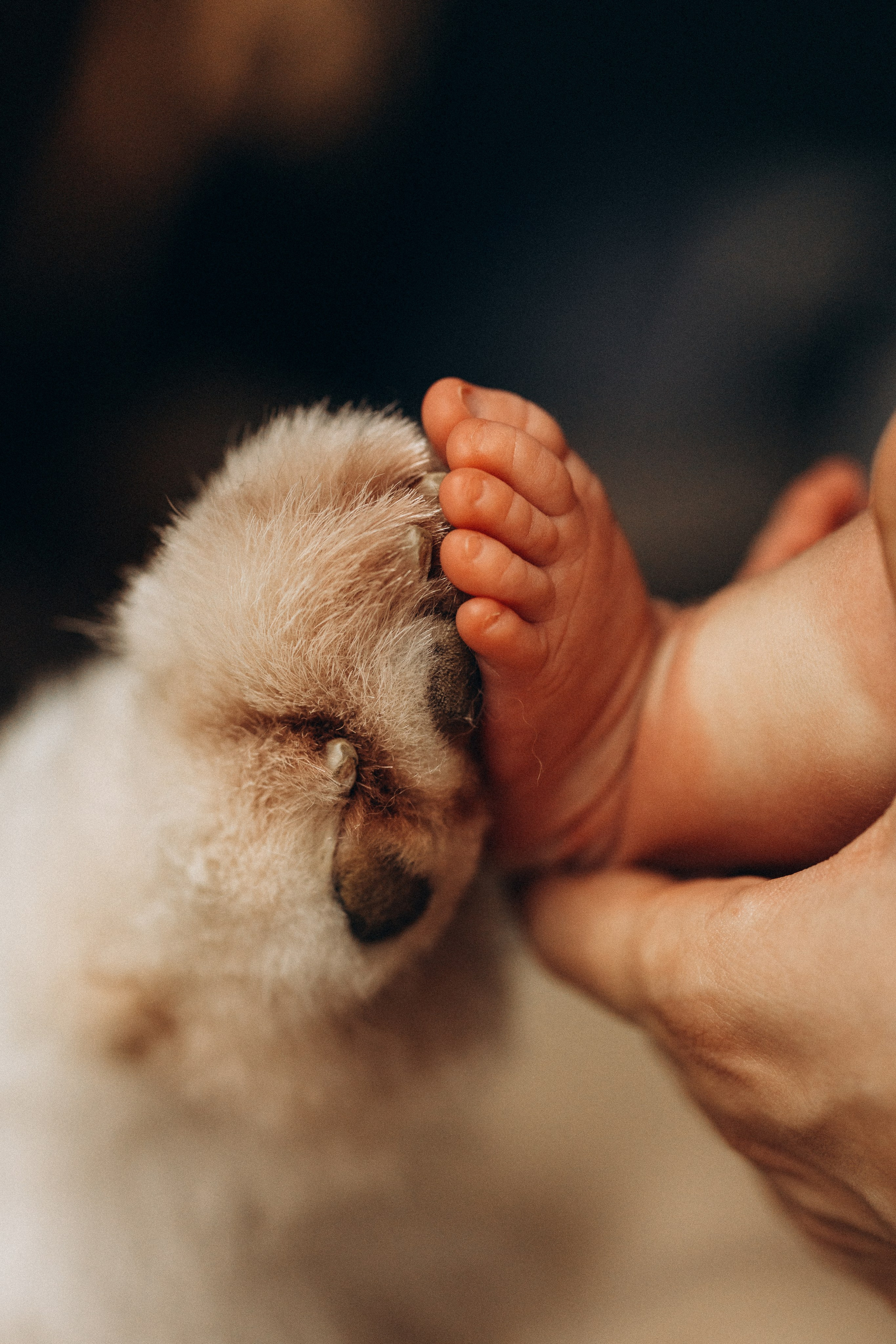 Евгения Пелипас