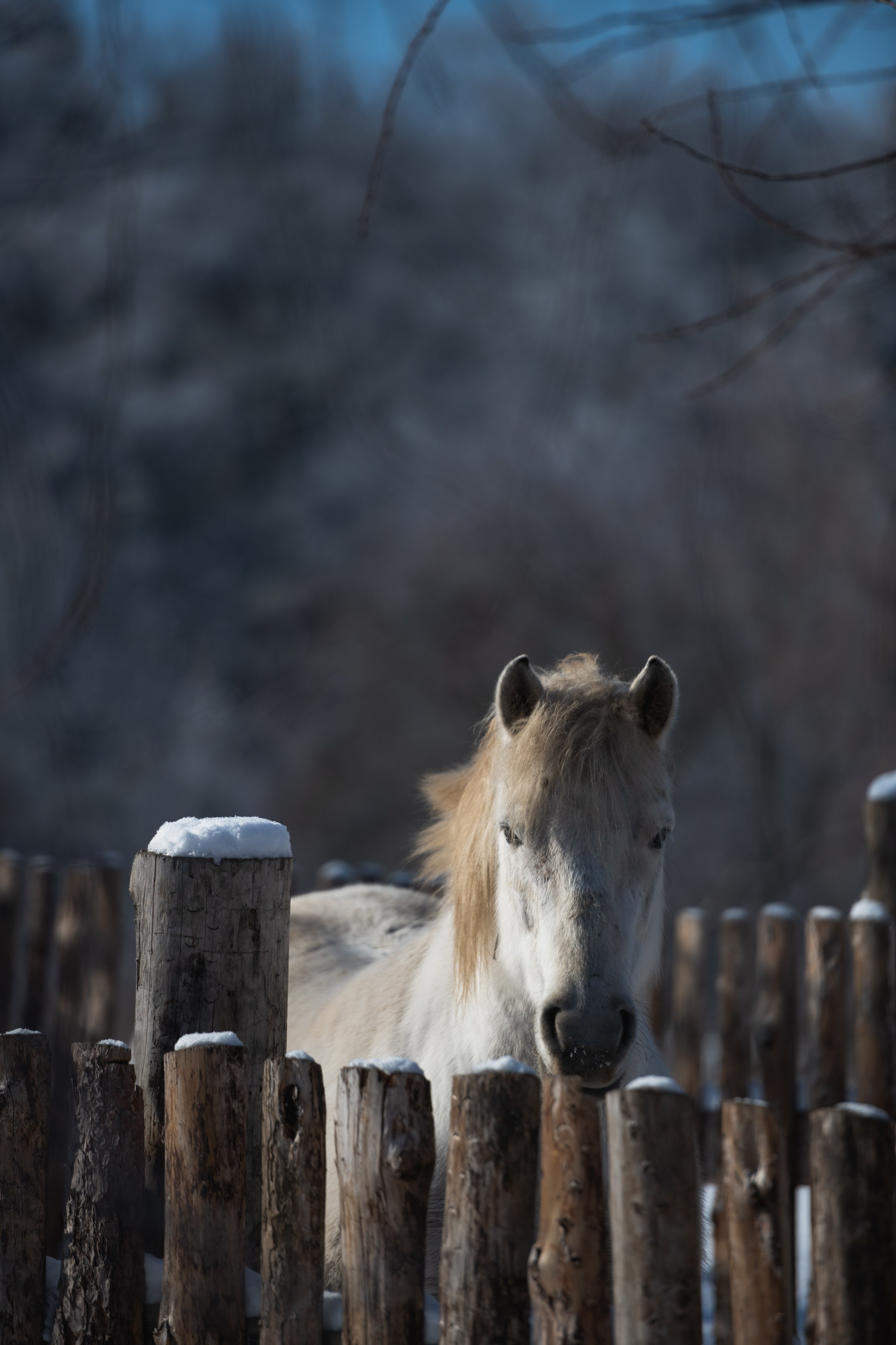 Репортажный фотограф Владимир Беляй