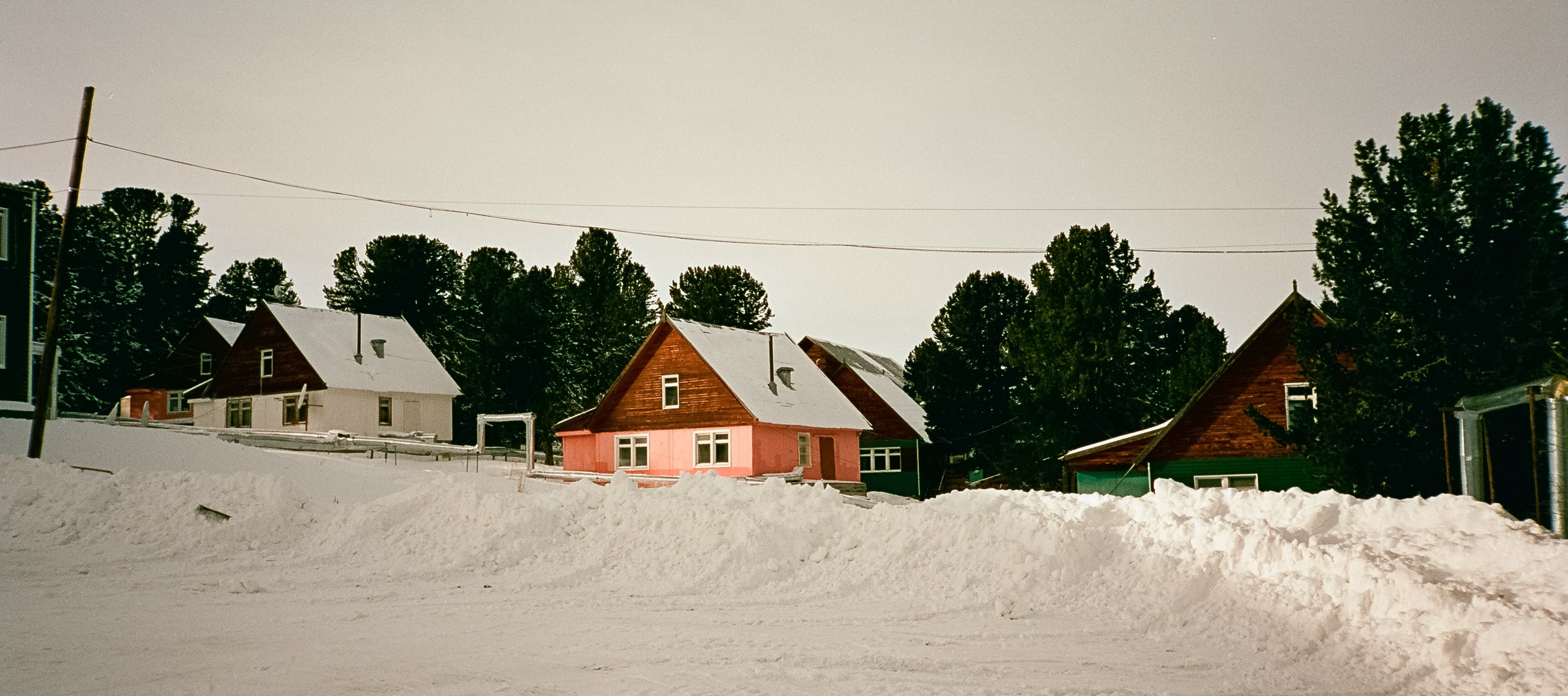 Семинский перевал / 19 декабря 2023 года (-18℃) / Kodak Aerocolor IV