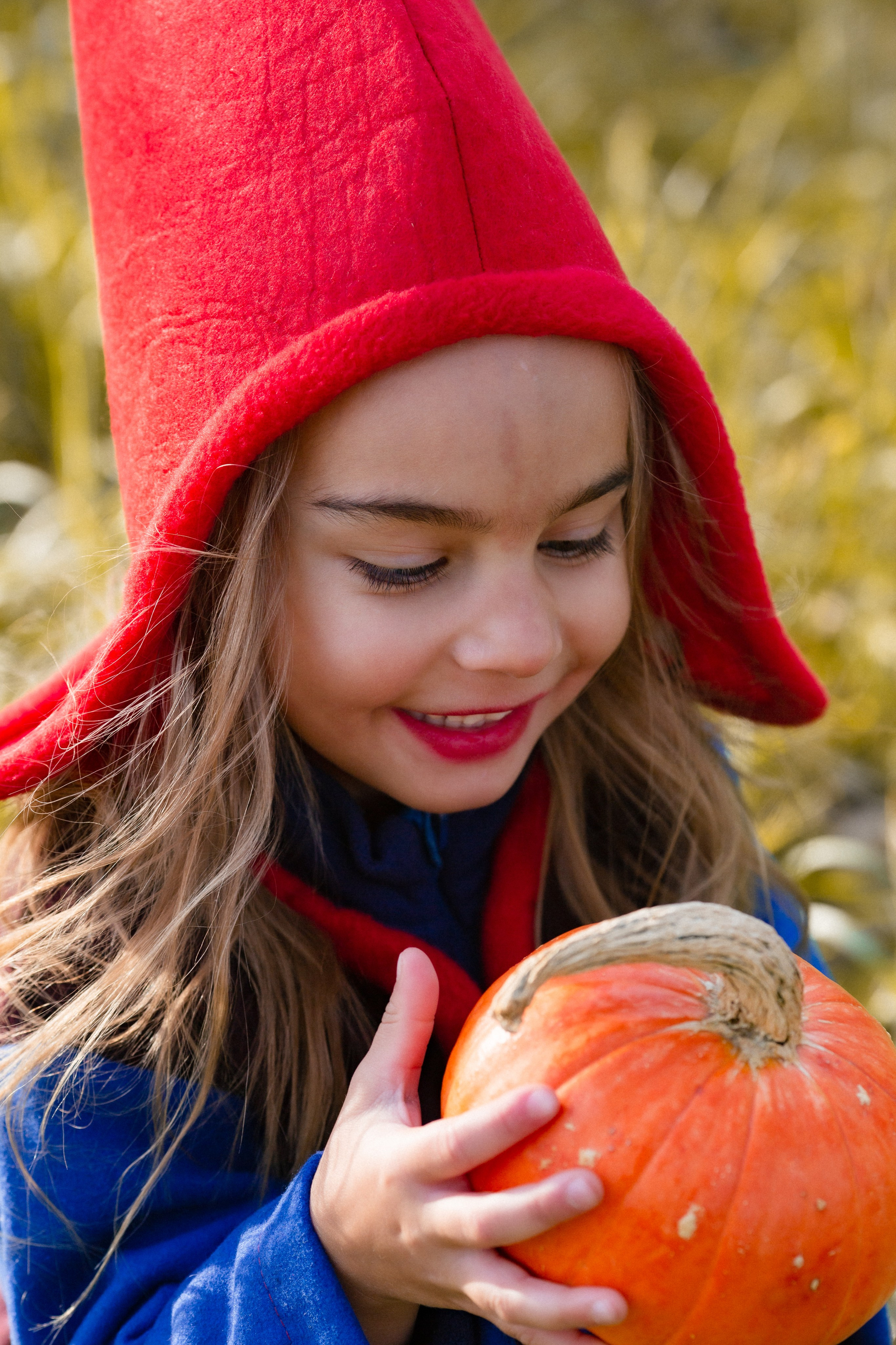 Лесные гномы