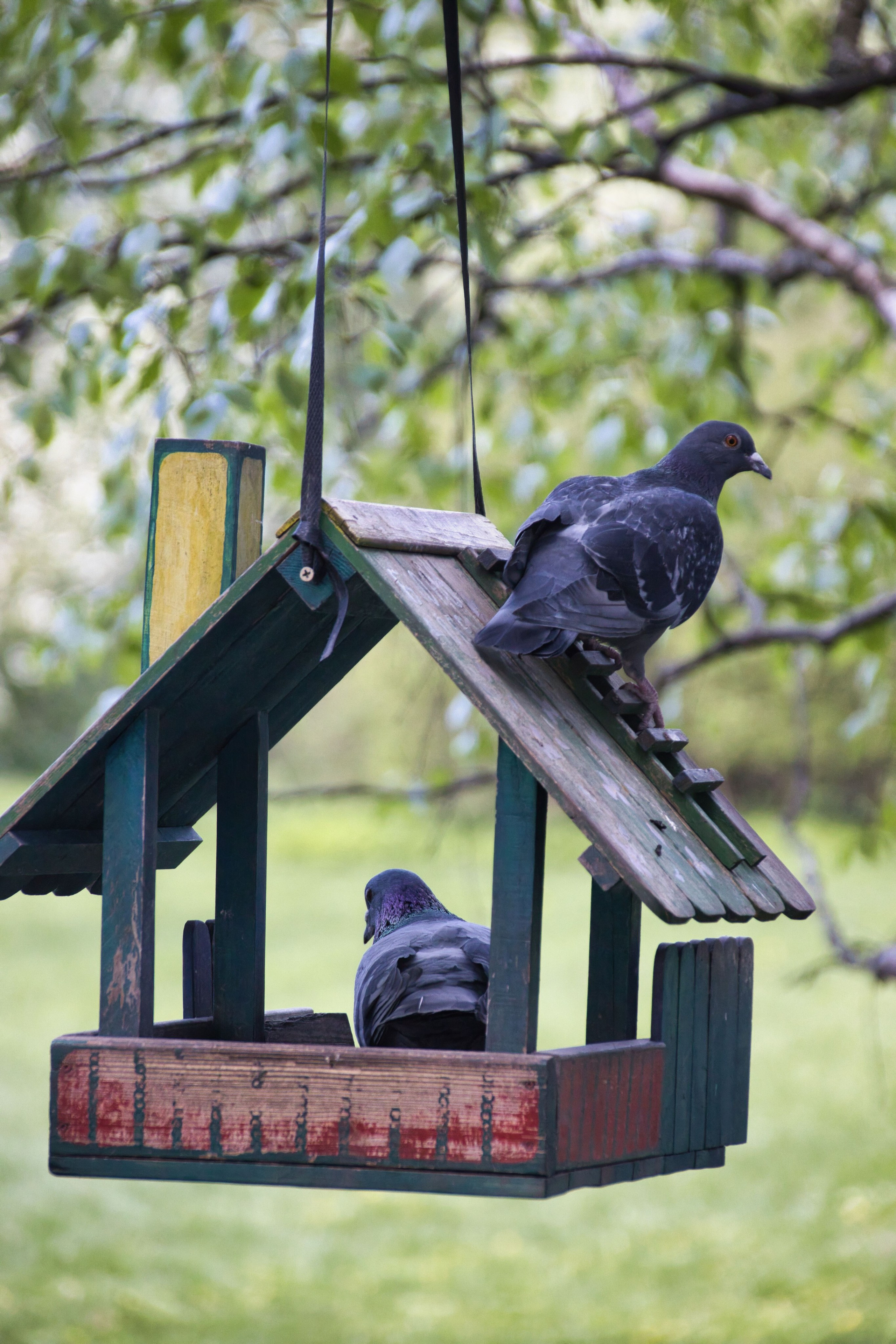 Фотограф в Санкт-Петербурге Георгий Елецких