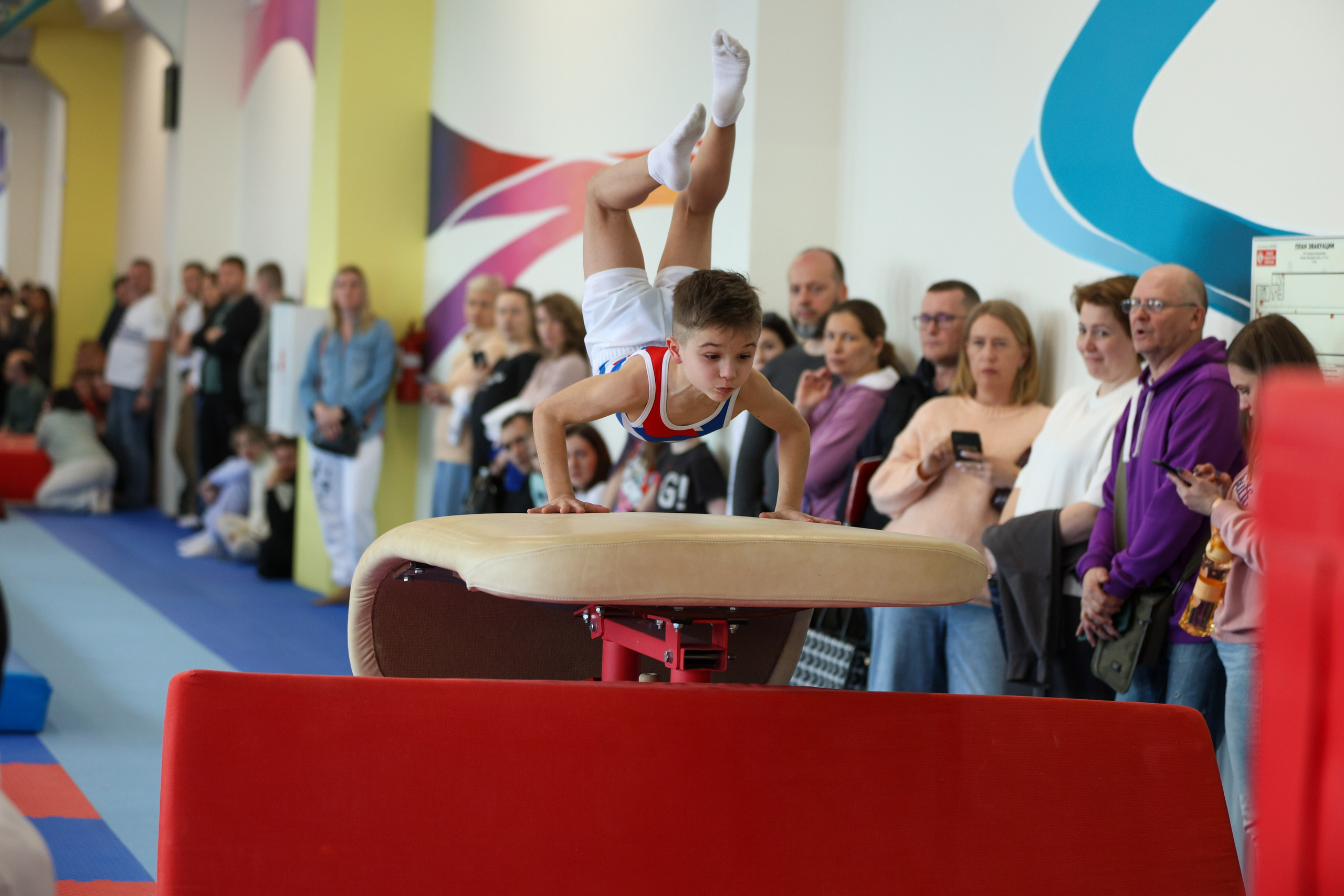 Спортивная гимнастика в школе Турнен. Фотограф в Москве портреты | репортажи | спорт