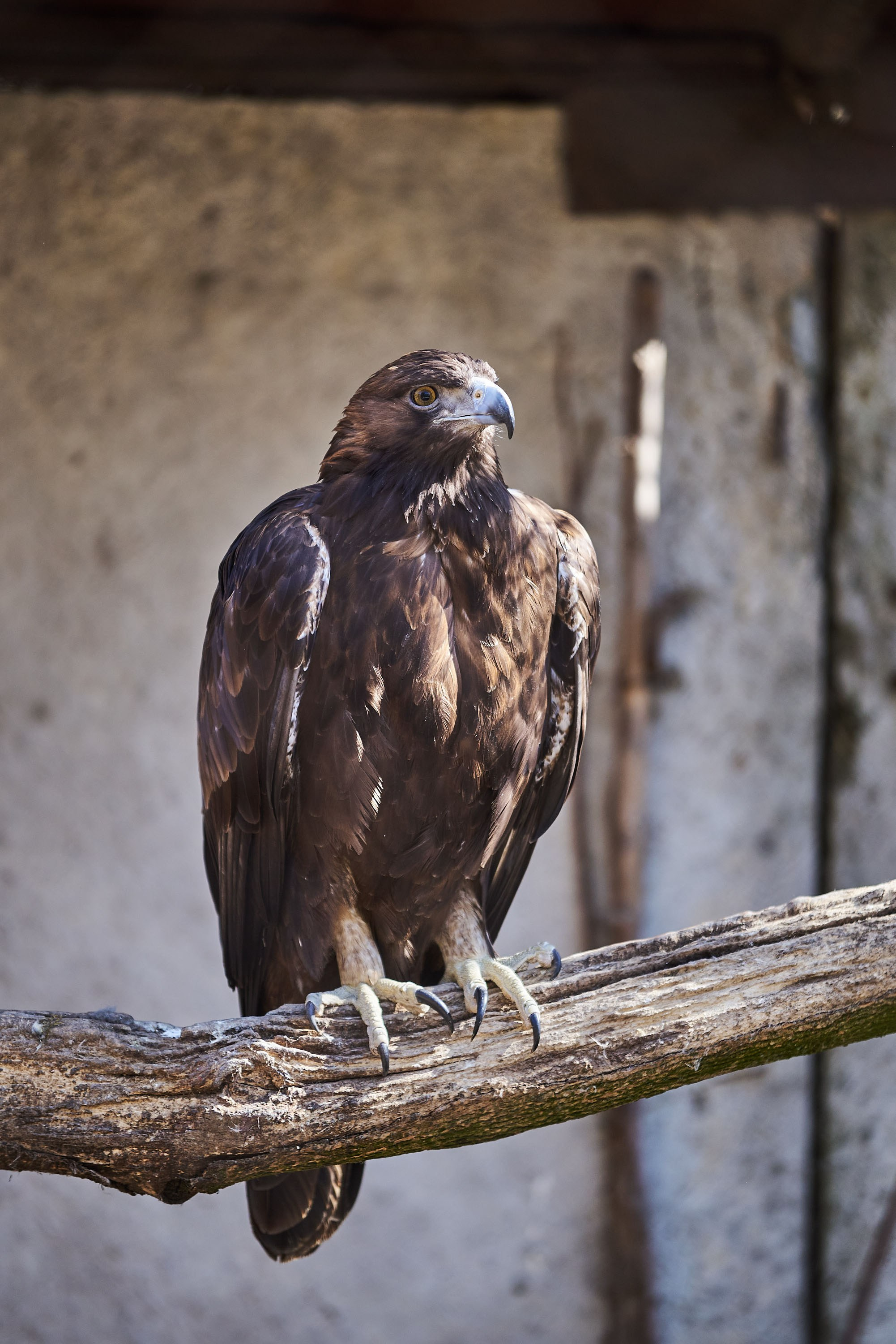 Зоопарк Иваново. Фотограф в Иваново: Каталожная съемка одежды и постельного белья, Wildberries
