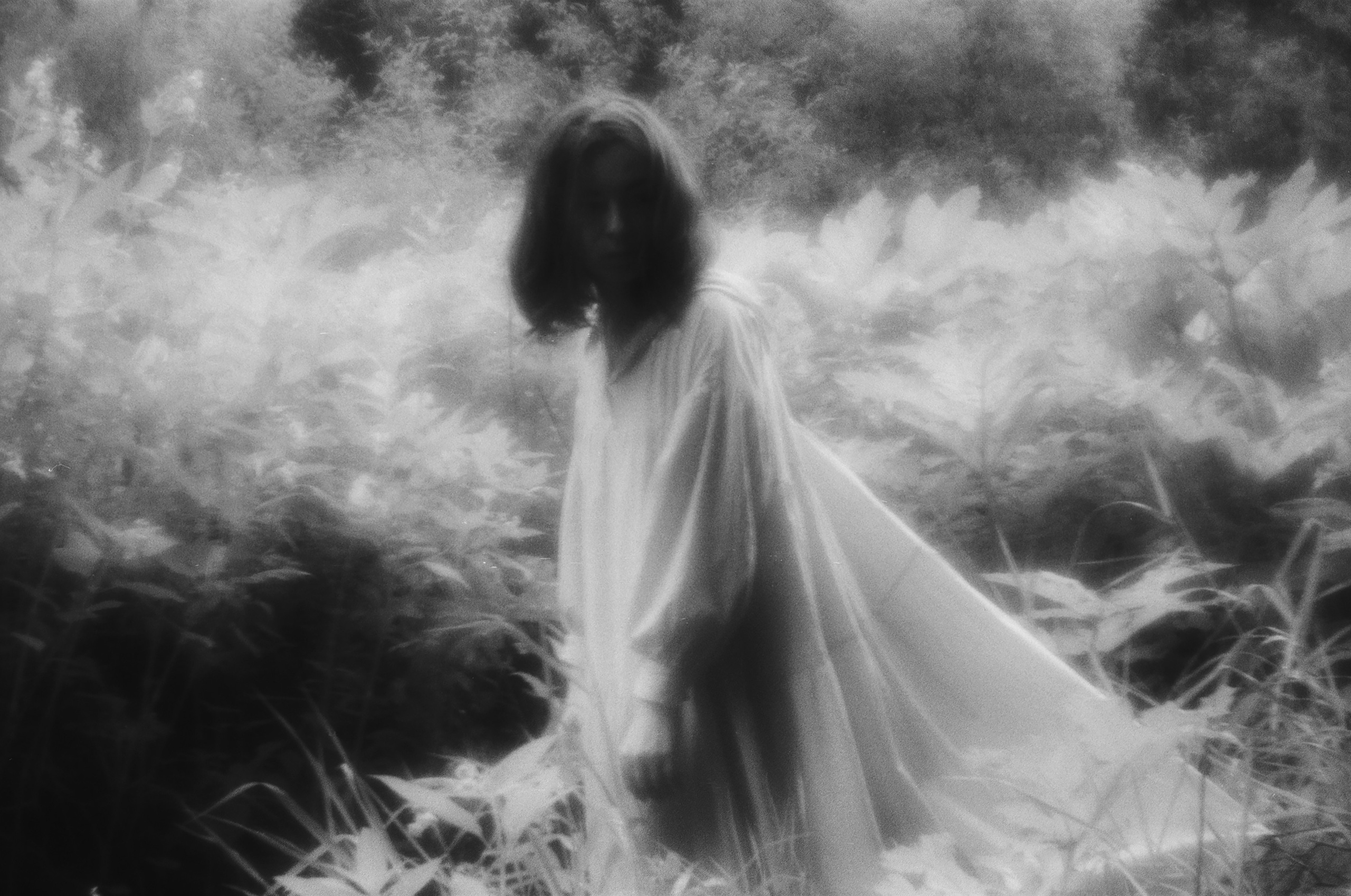 Pulherrima Rosa. Плёночный фотограф Юлия Андрейченко в Москве