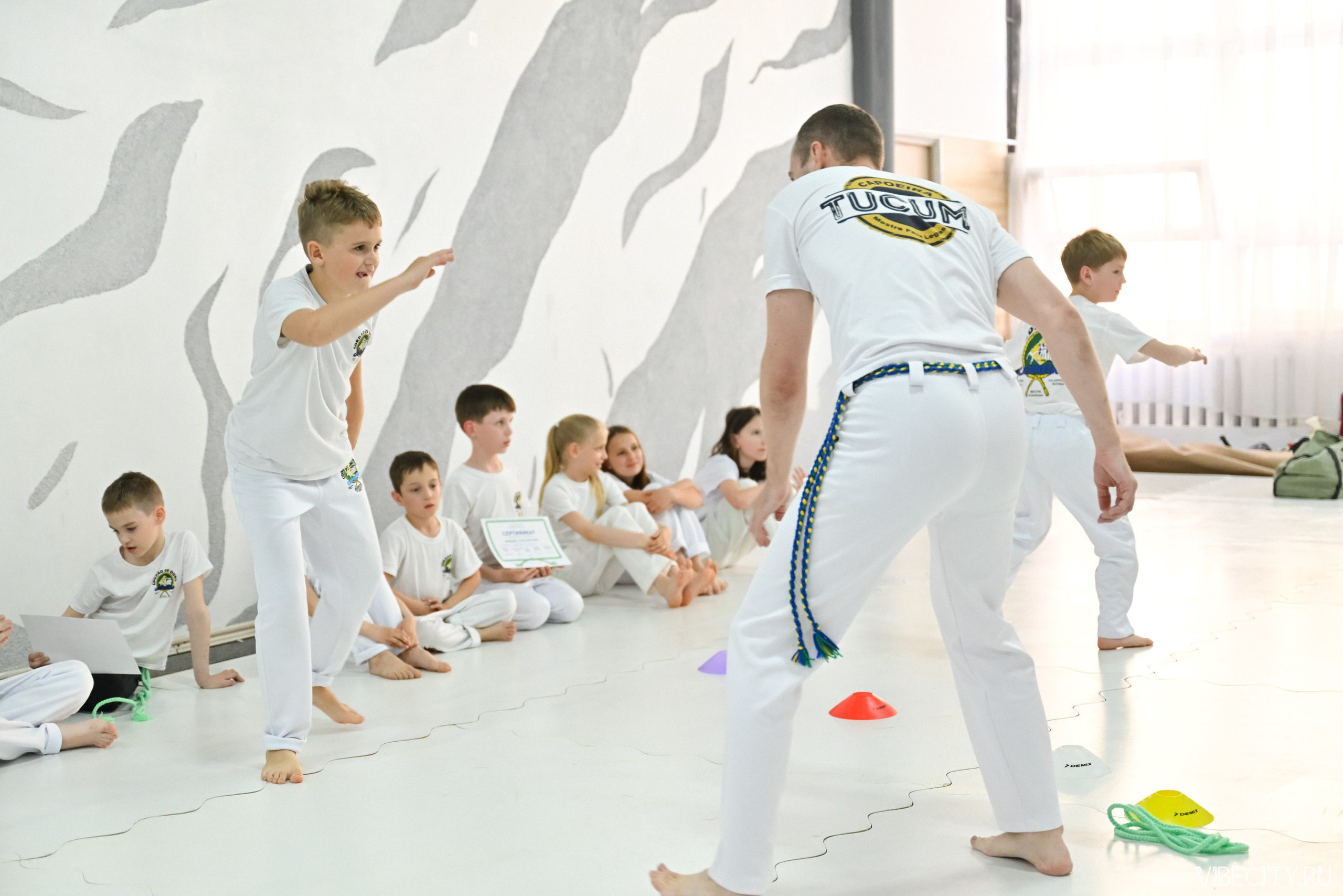 Capoeira: 4-е batizado e Troca de cordao. VIBECITY.RU Вайб Сити Ру Фоторепортажи Фотоотчеты Калининград