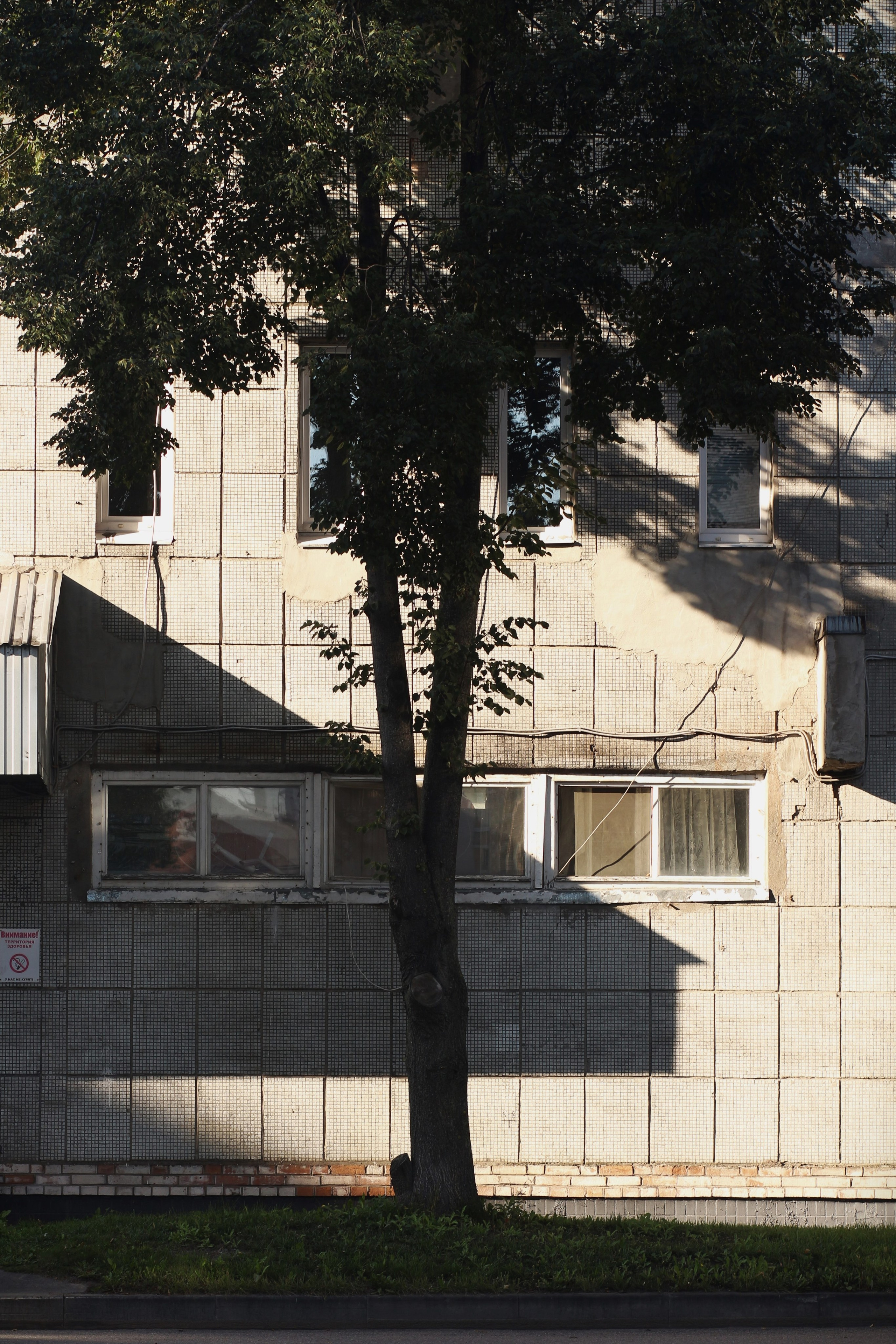 Дарья Урванцева