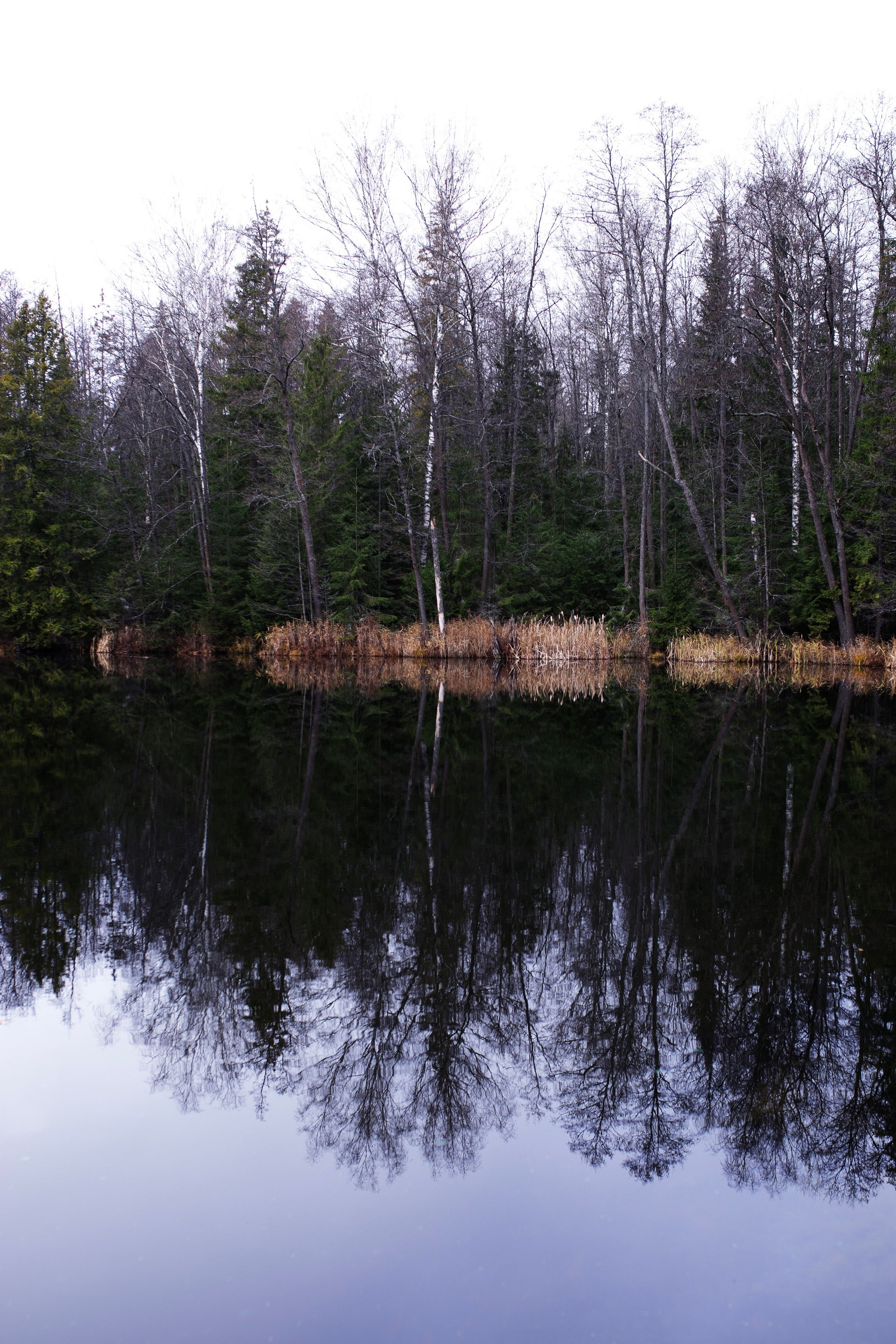 Муром — Гороховец'25. Фотограф-портретист в Москве